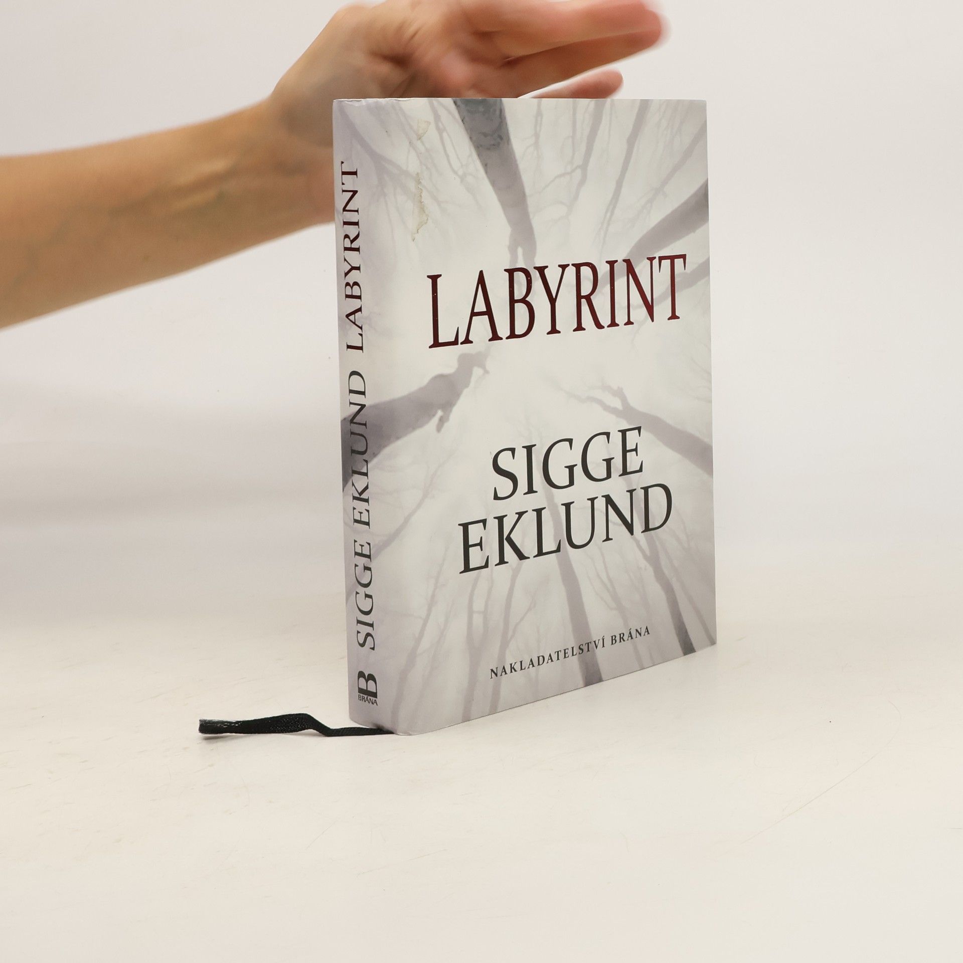 Sigge Eklund Labyrint