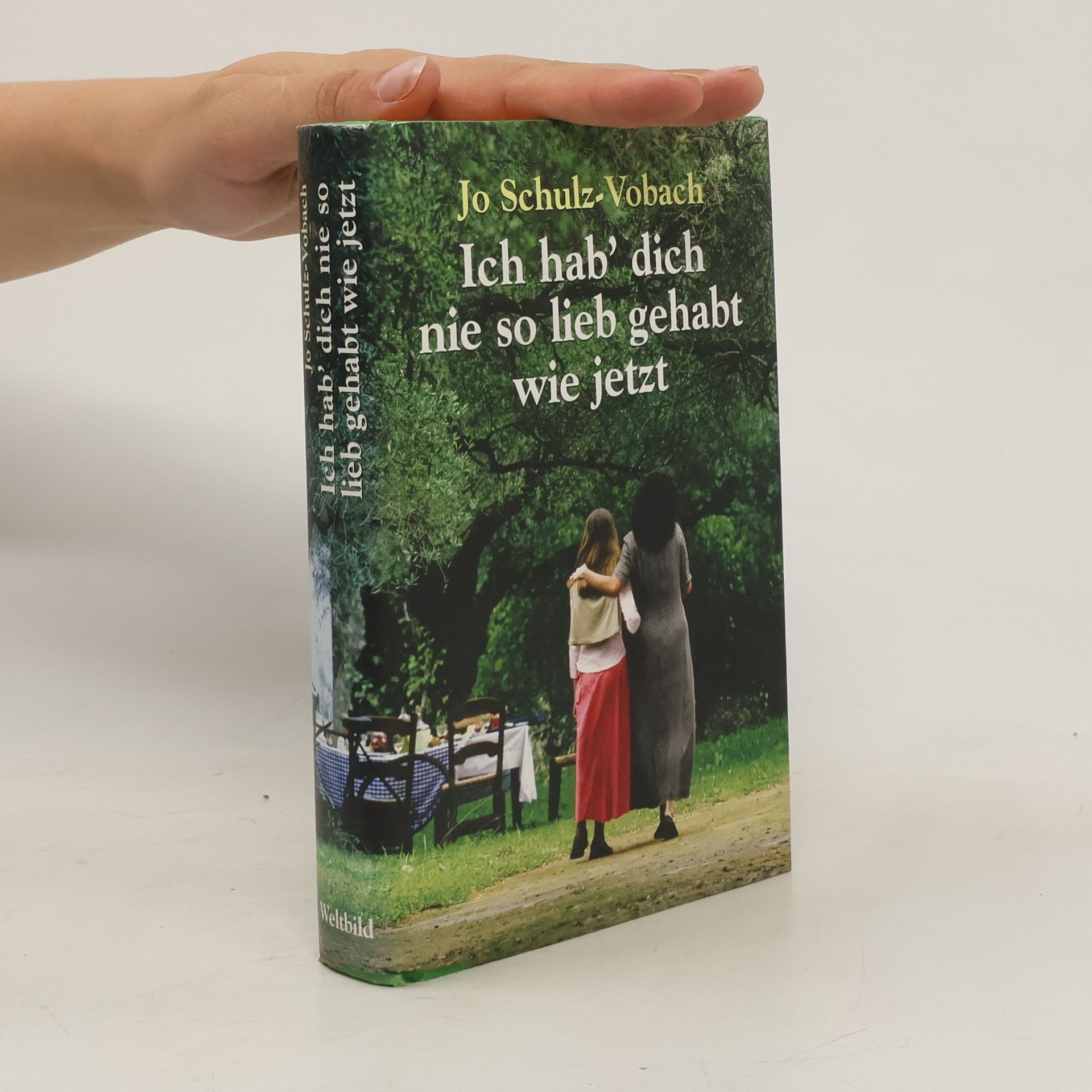 Jo Schulz Ich hab' dich nie so lieb gehabt wie jetzt