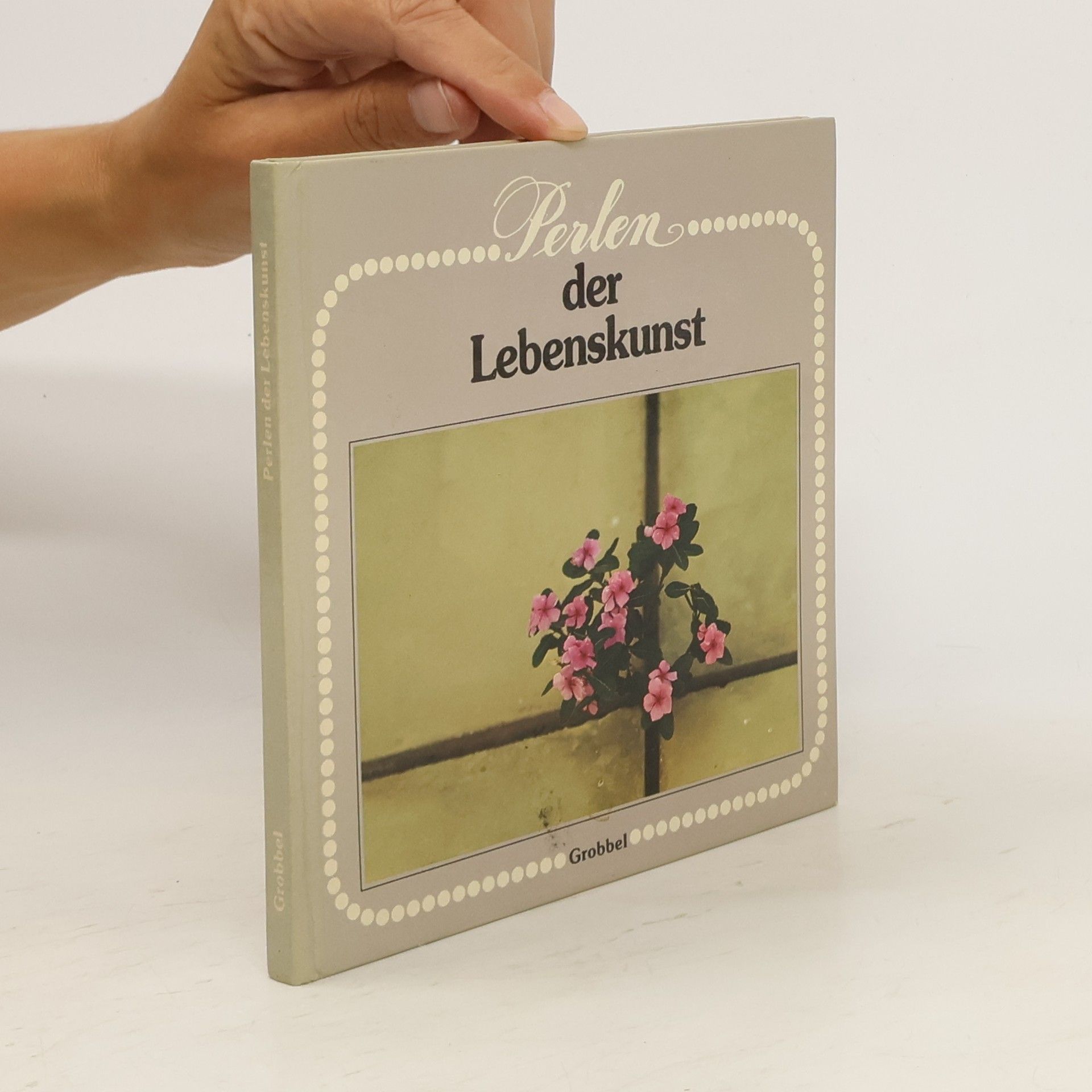 Collectif d'auteurs Perlen der Schweiz