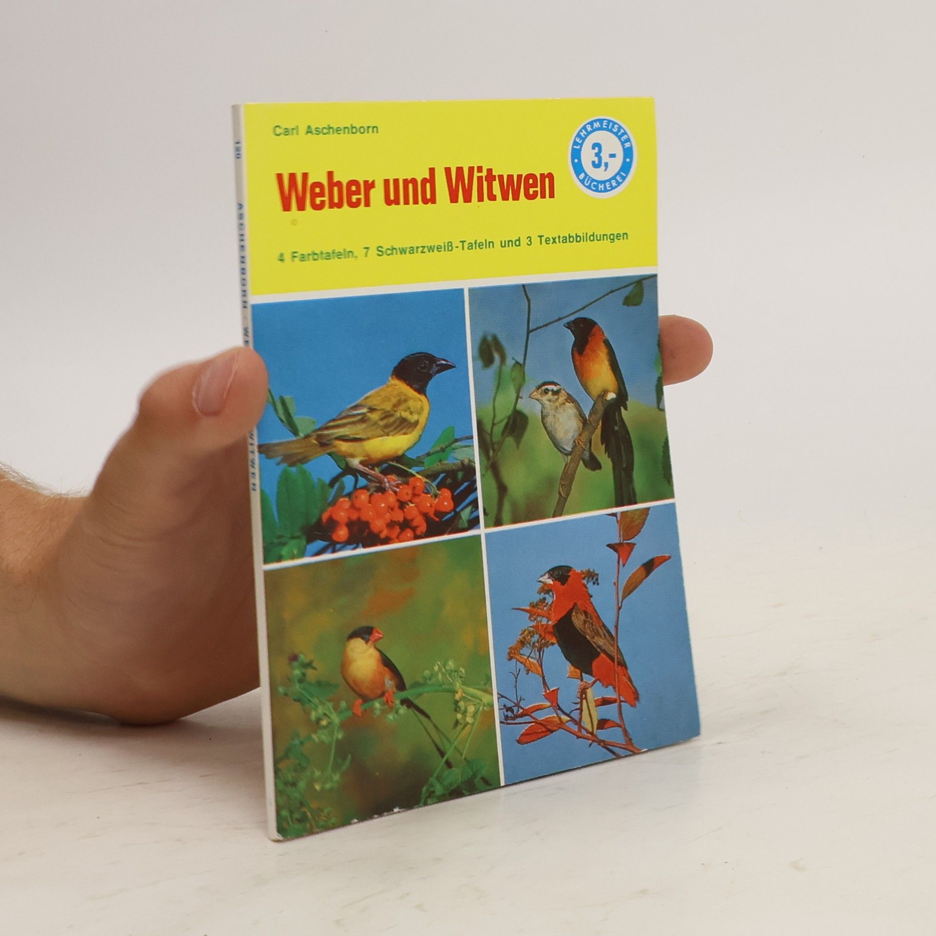 Carl Aschenborn Weber und Witwen
