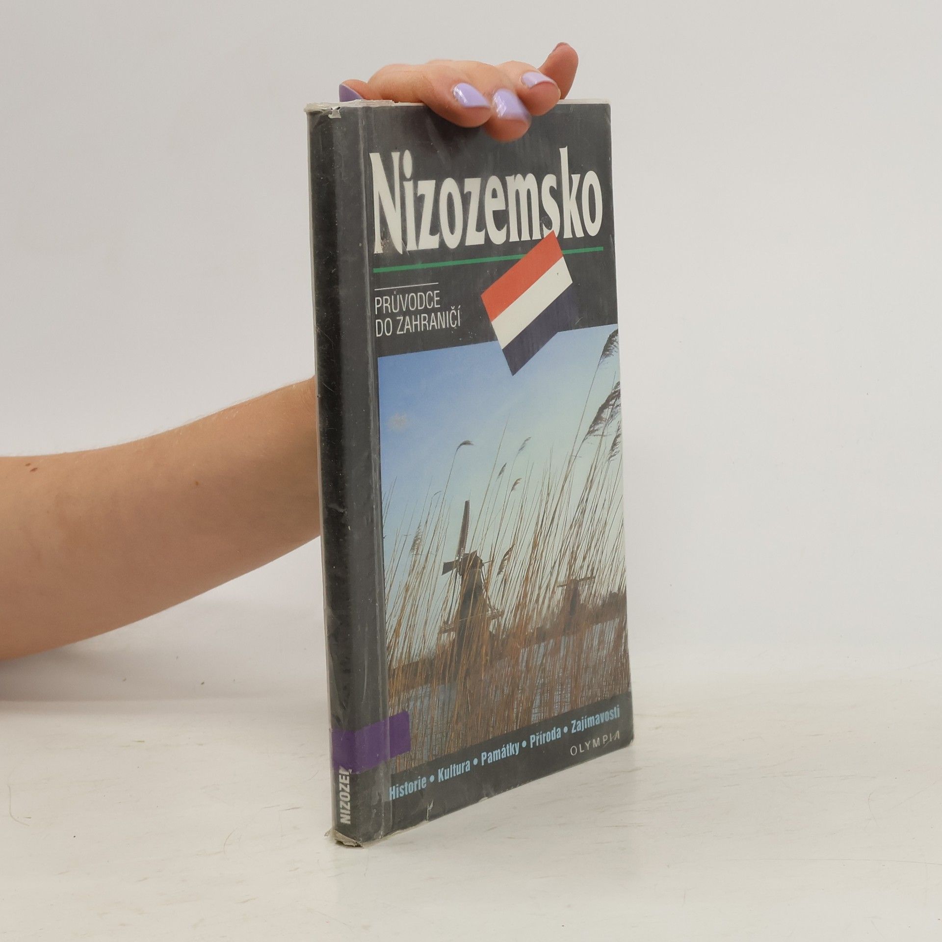 Šárka Bradnová Nizozemsko. Průvodce do zahraničí