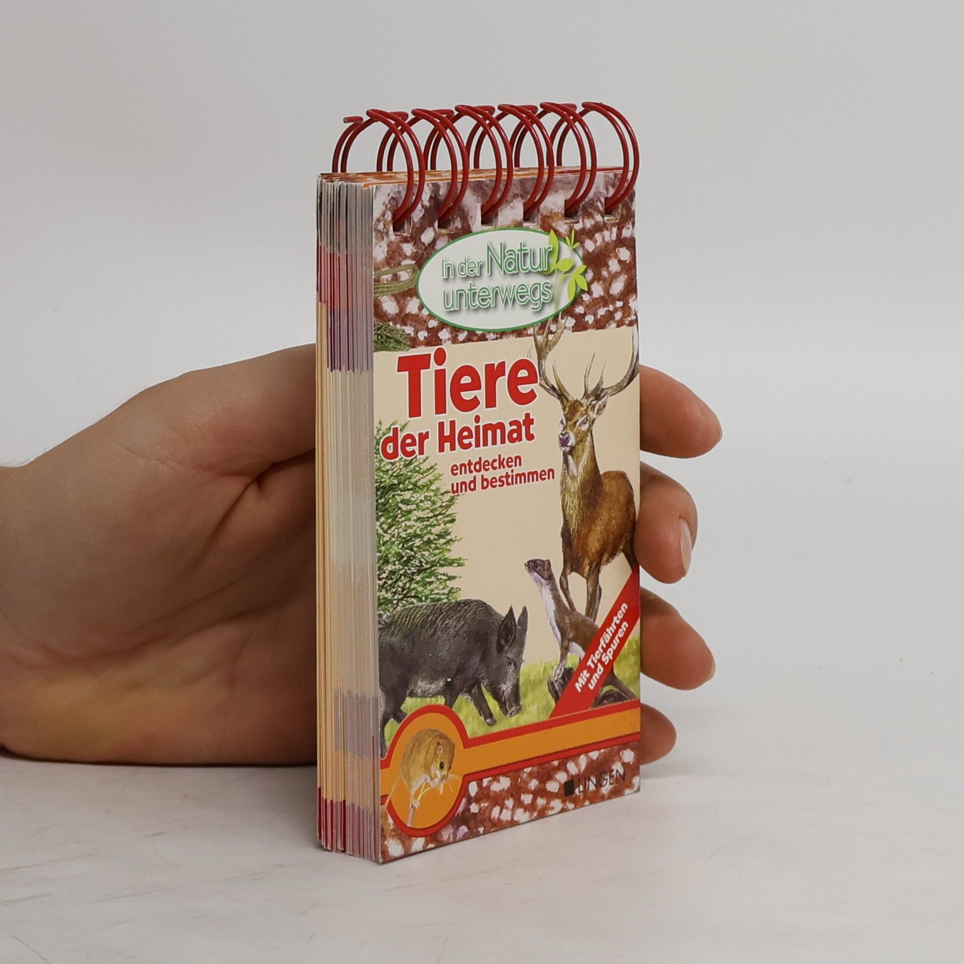 Collectif d'auteurs In der Natur unterwegs. Tiere der Heimat entdecken und bestimmen