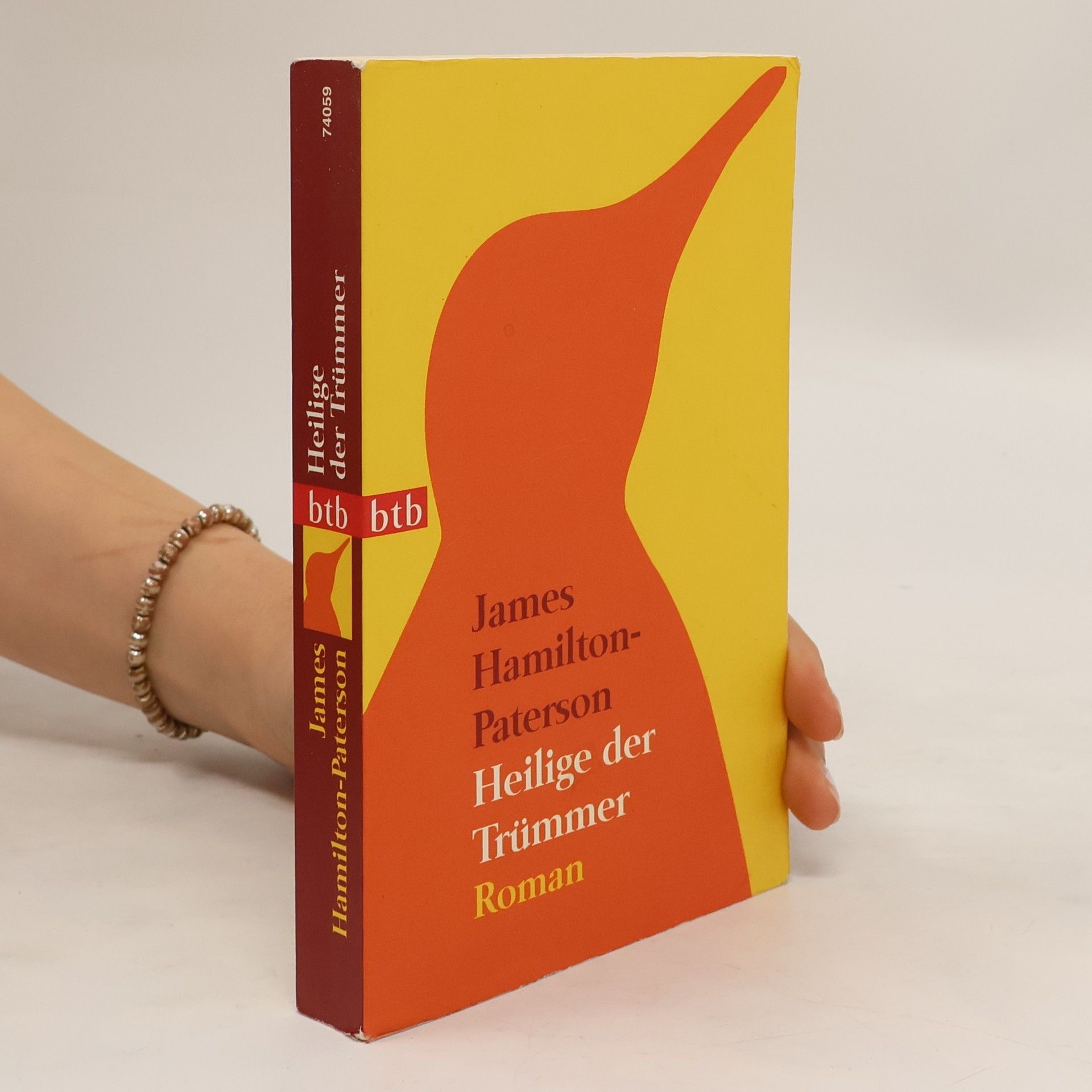 James Hamilton-Paterson Heilige der Trümmer