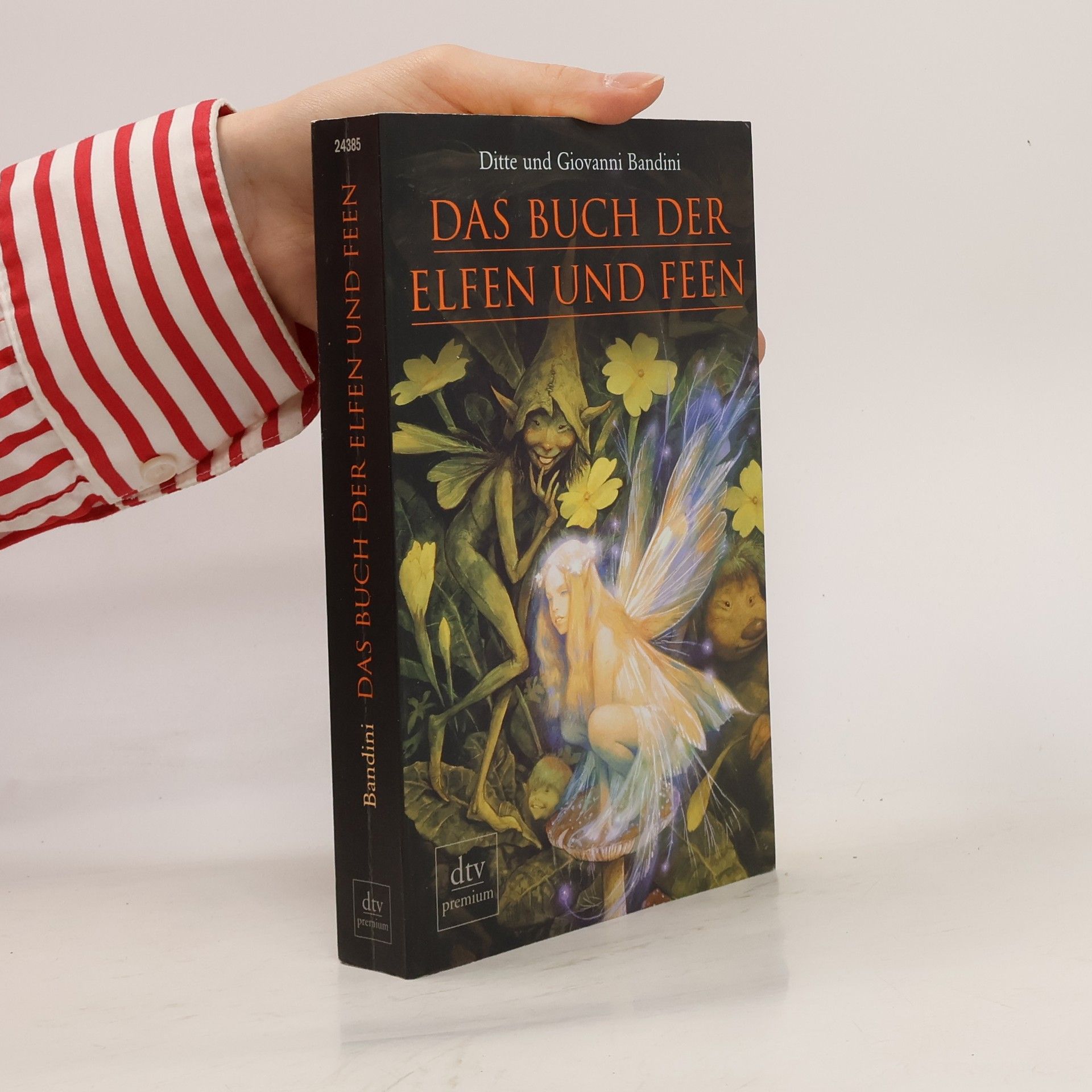 Ditte Bandini Das Buch der Elfen und Feen