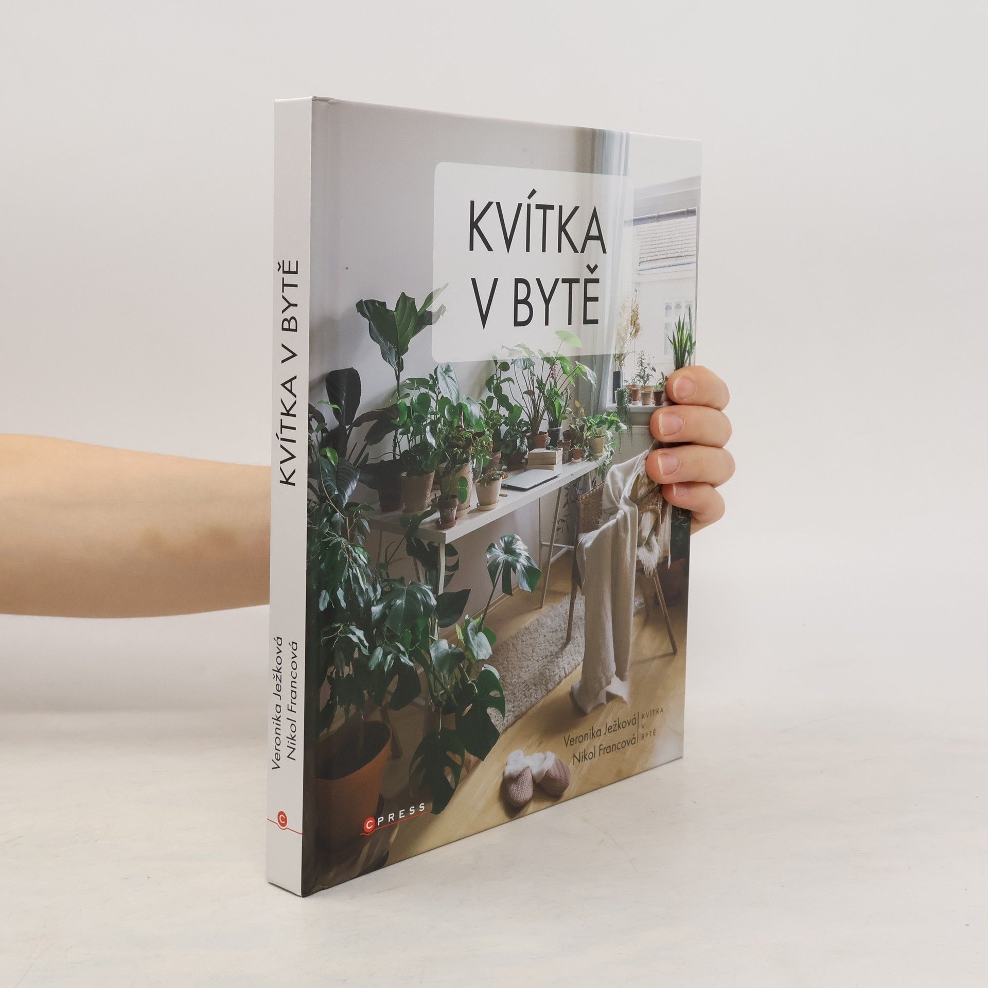 Veronika Ježková Kvítka v bytě