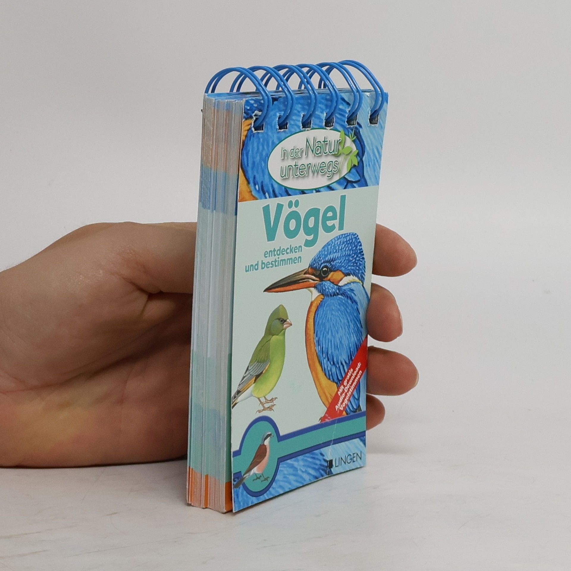 kolektiv Vögel entdecken und bestimmen