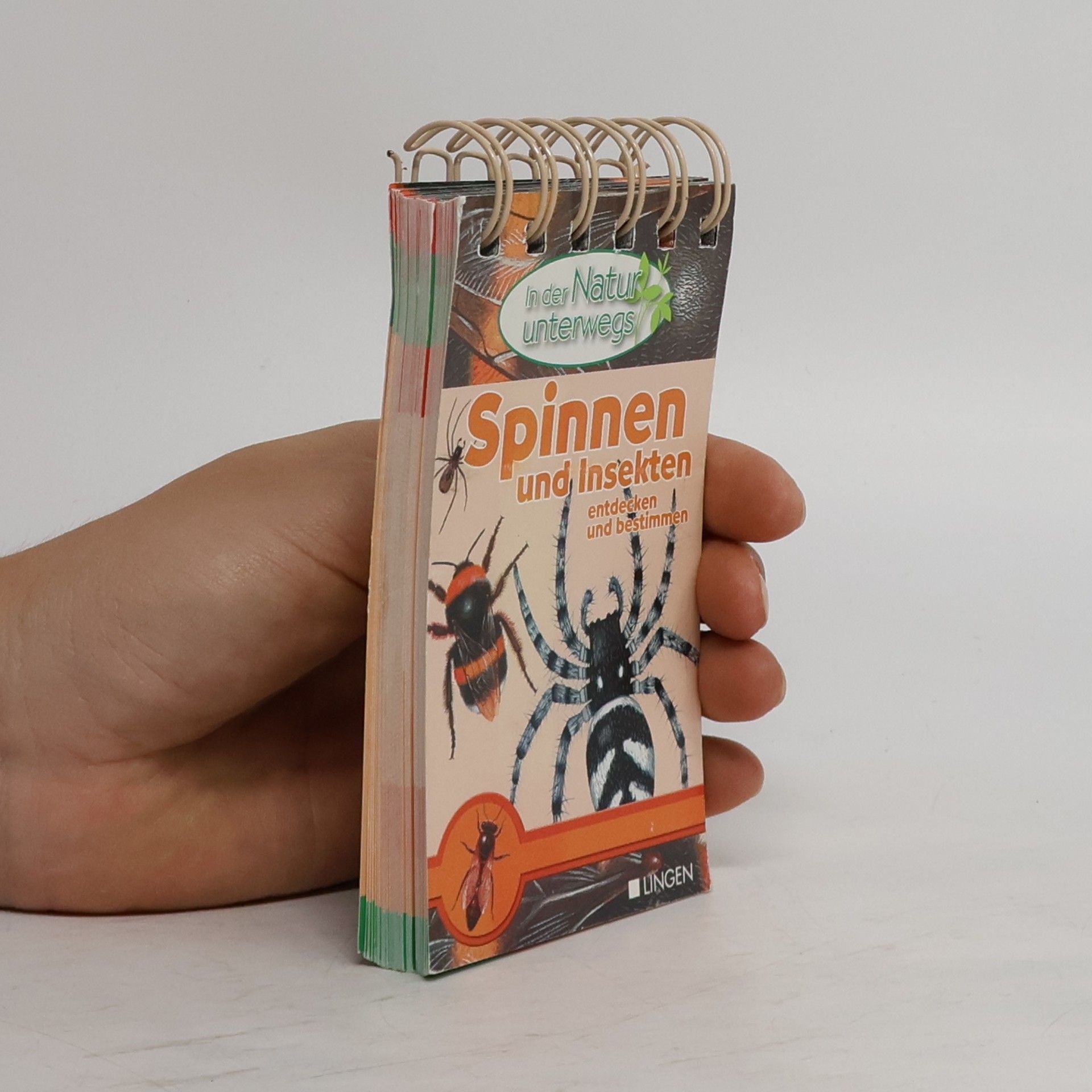 AA.VV. Spinnen und Insekten