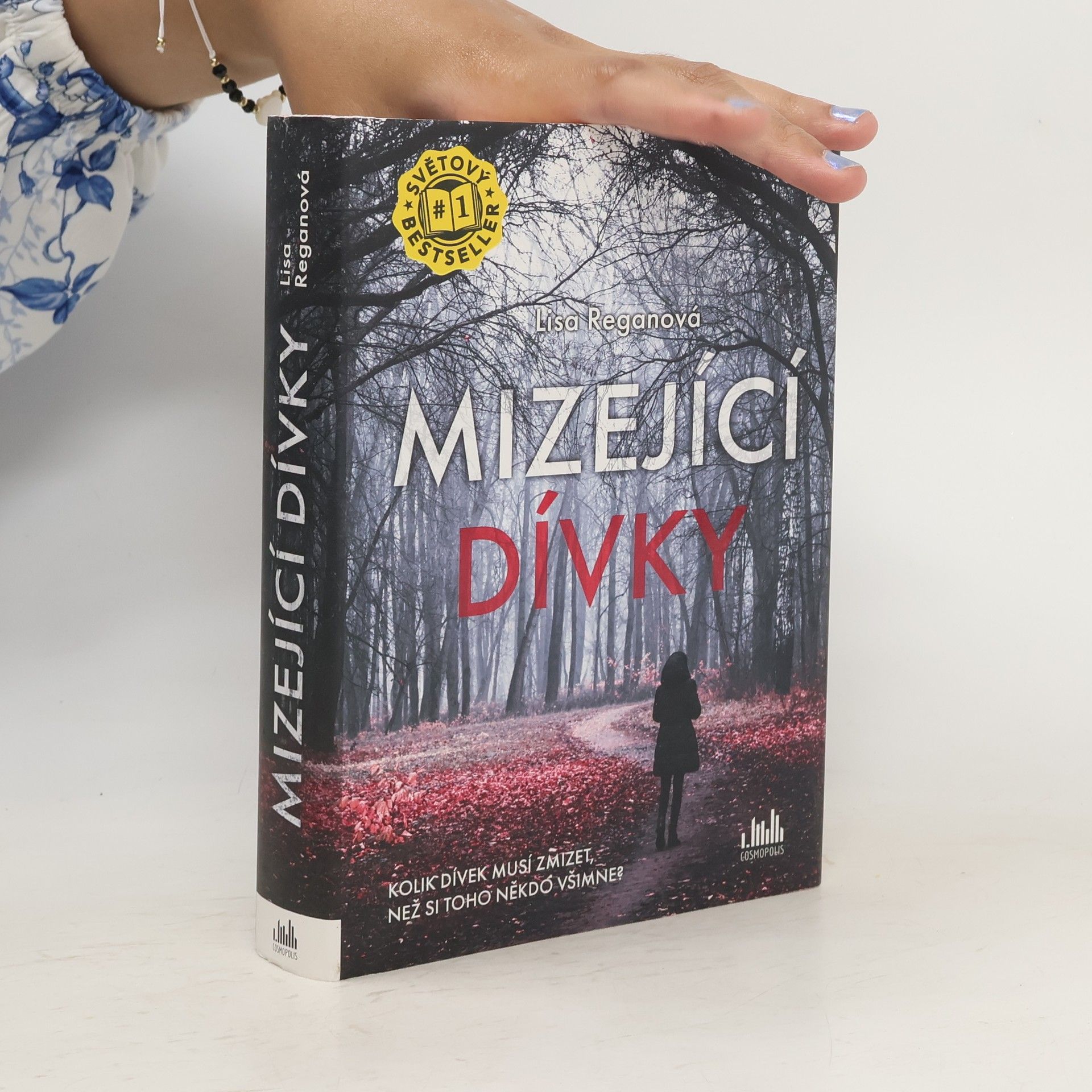 Lisa Regan Mizející dívky