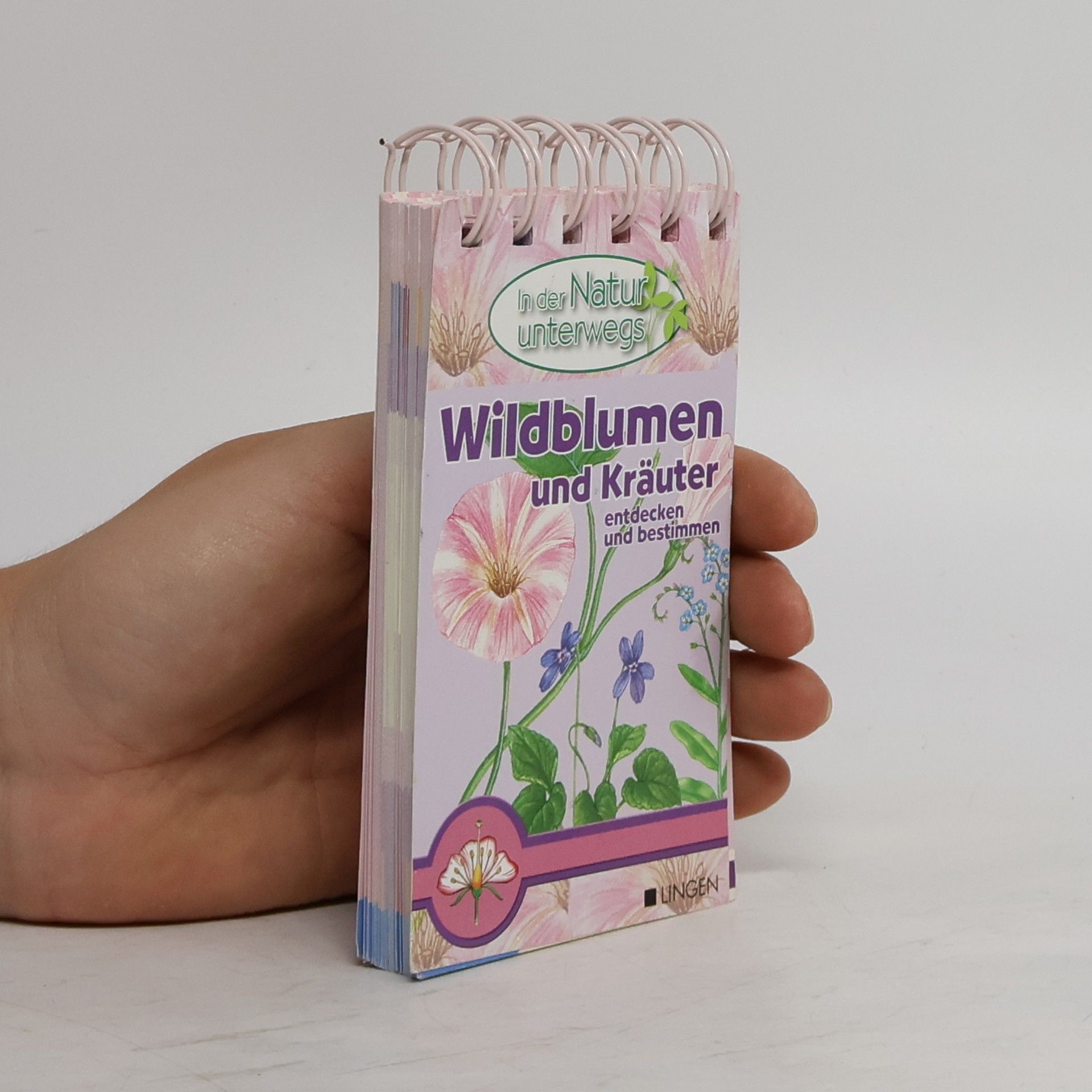 Autorenkollektiv Wildblumen und Kräuter entdecken und bestimmen