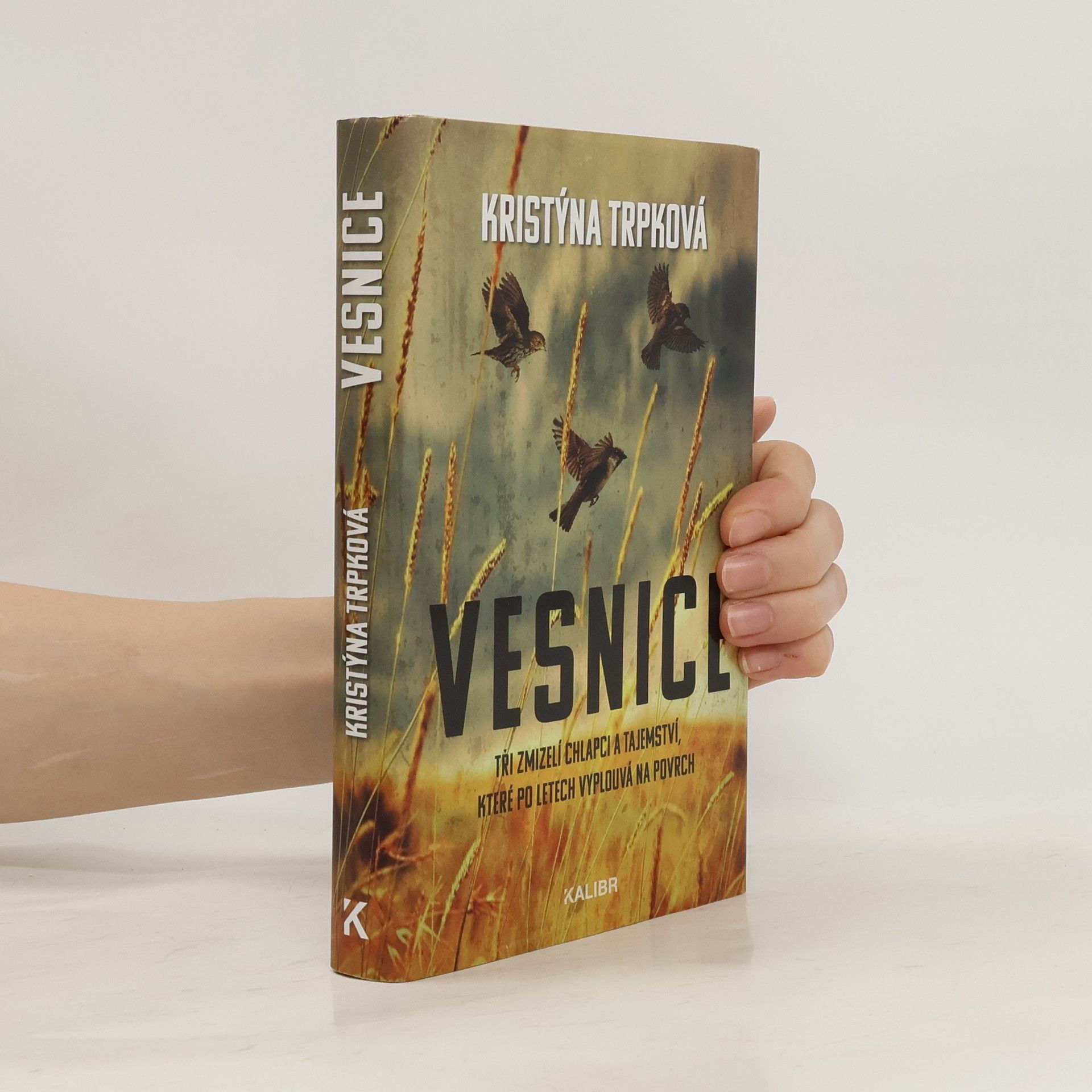 Kristýna Trpková Vesnice
