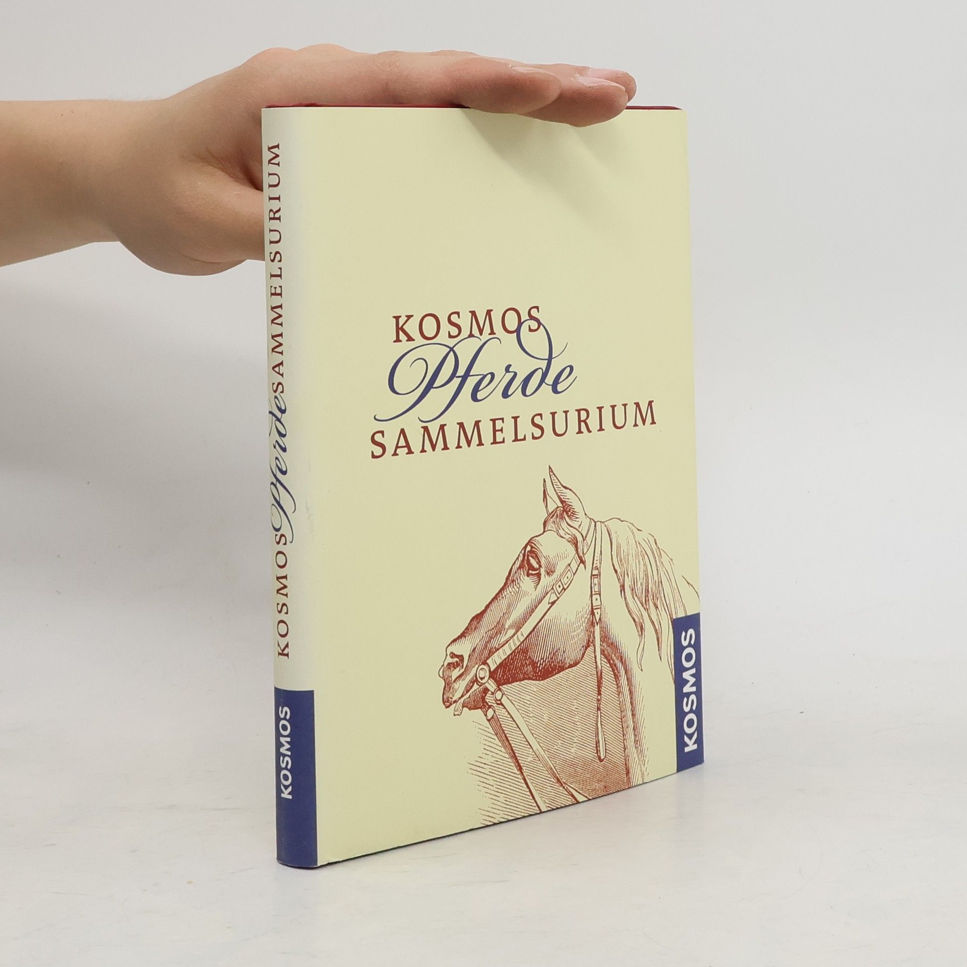 Sarah Widdicombe Kosmos-Pferde-Sammelsurium