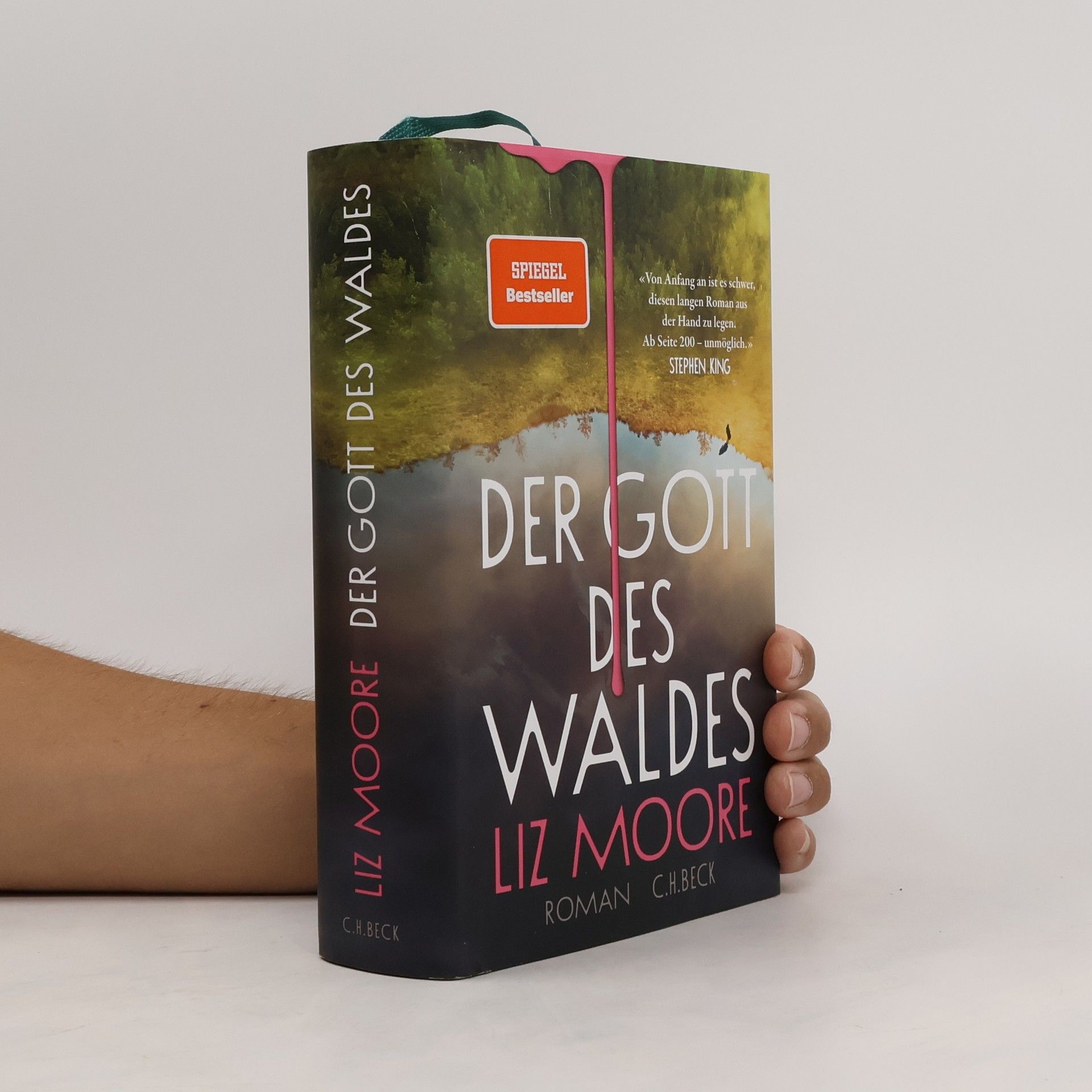 Liz Moore Der Gott des Waldes