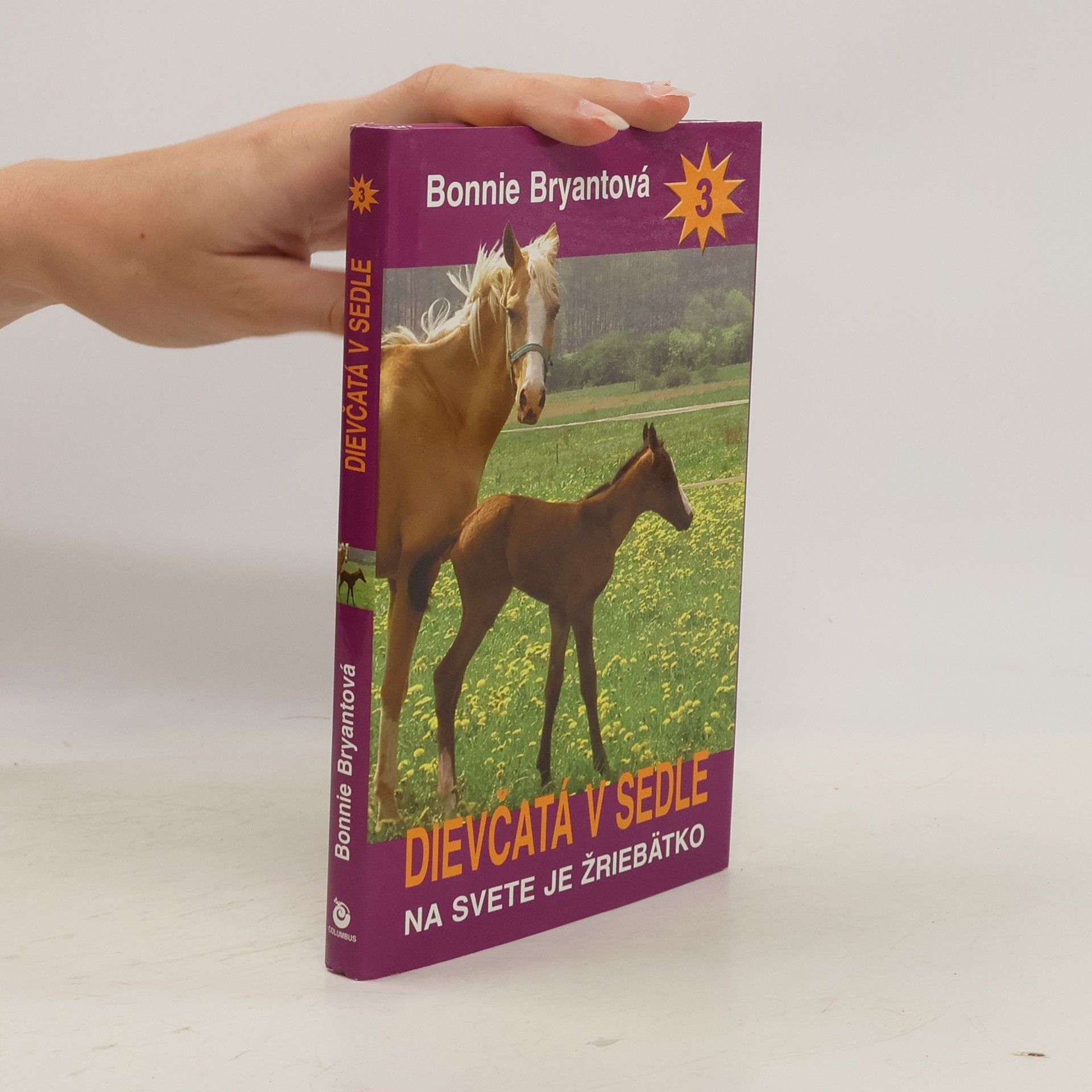 B. B. Hiller Dievčatá v sedle 3