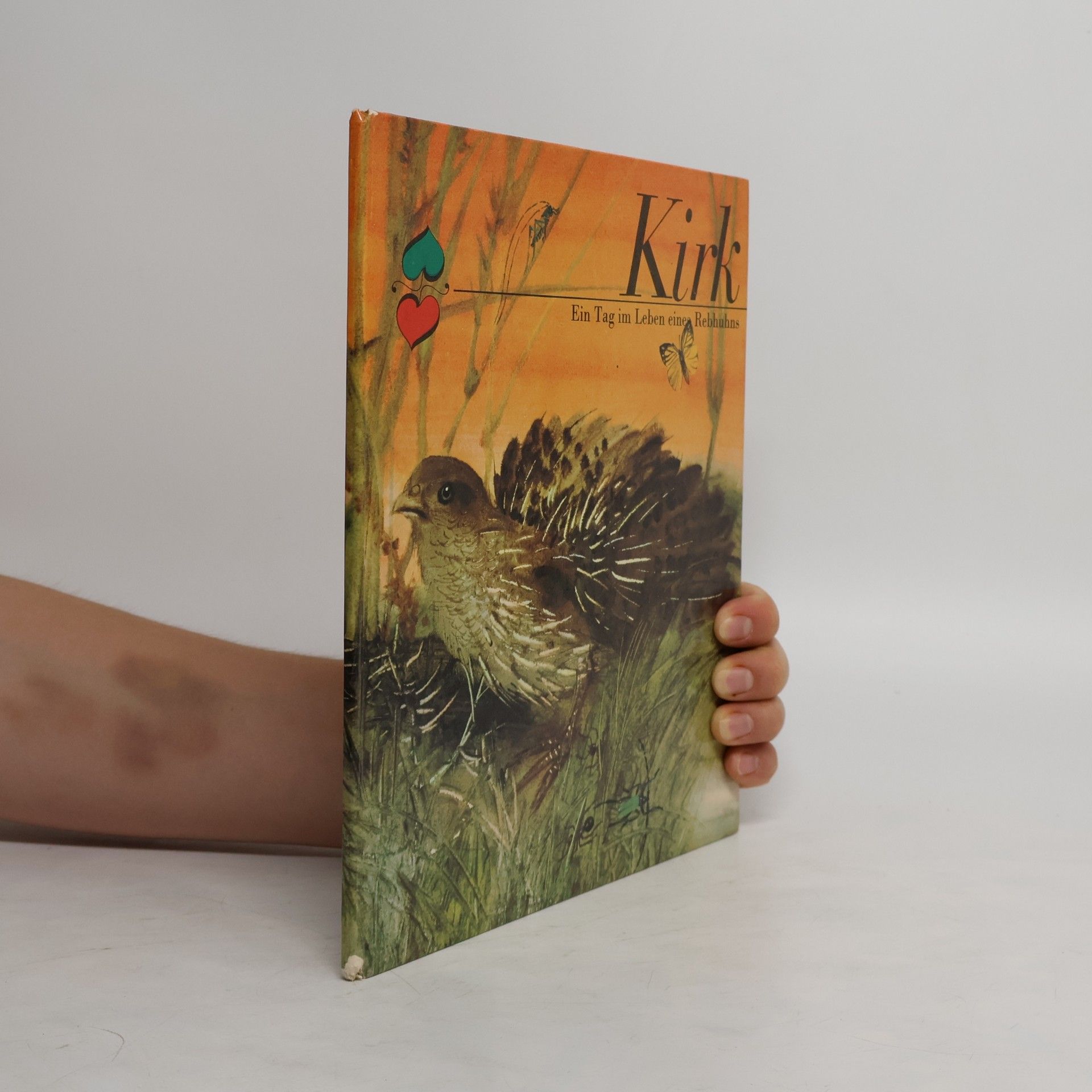 Autorenkollektiv Kirk