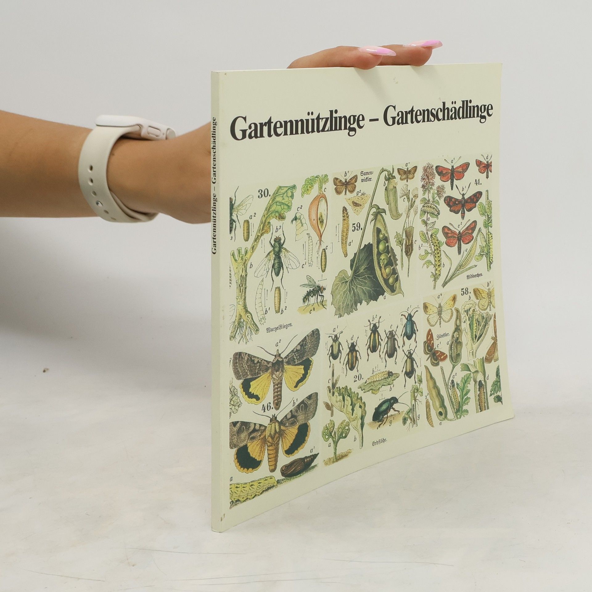 Willi Votteler Gartennützlinge - Gartenschädlinge