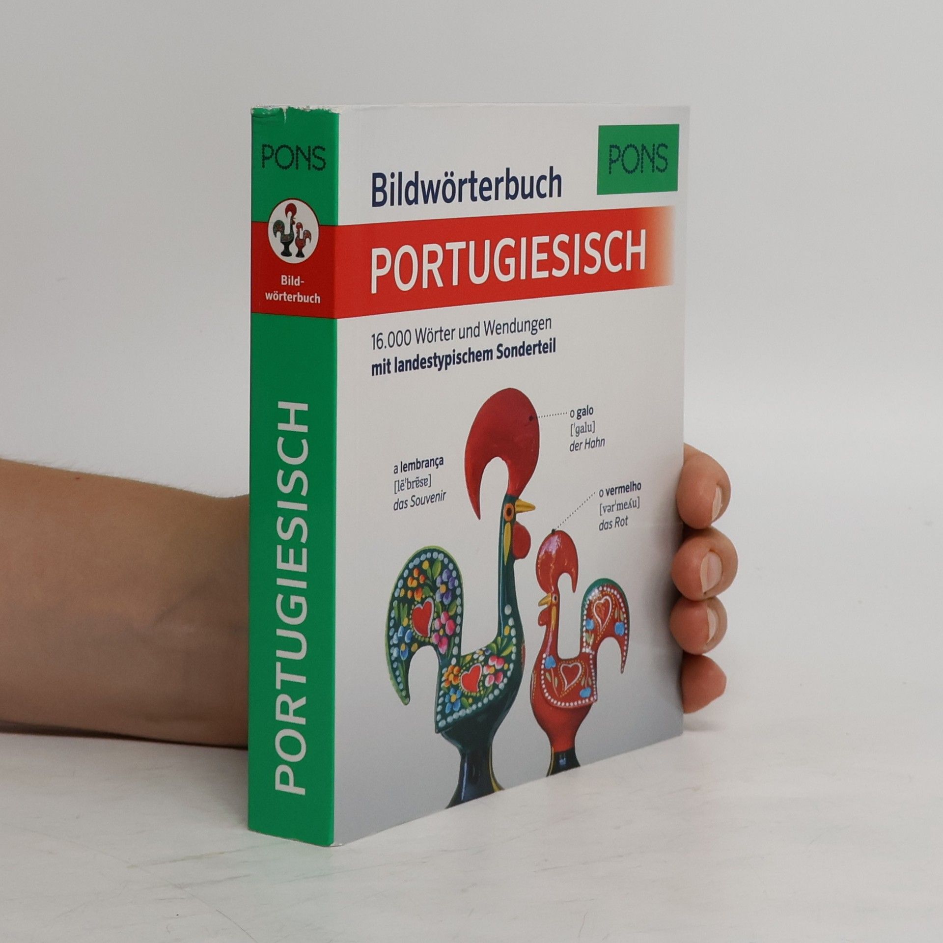 Isabel Marcante Bildwörterbuch Portugiesisch