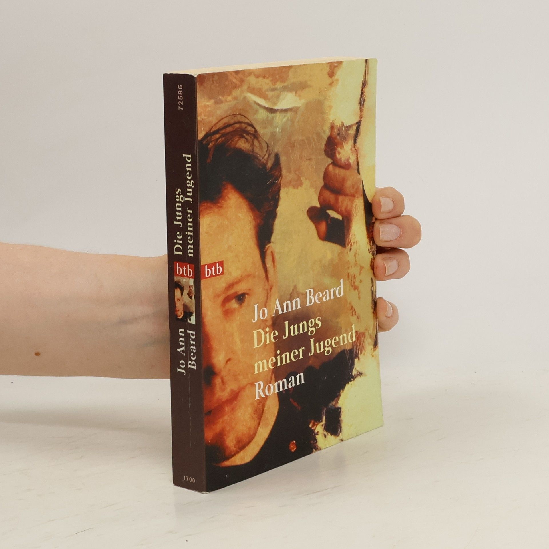 Jo A. Beard Die Jungs meiner Jugend. Roman. Dtsch. v. Sabine Lohmann