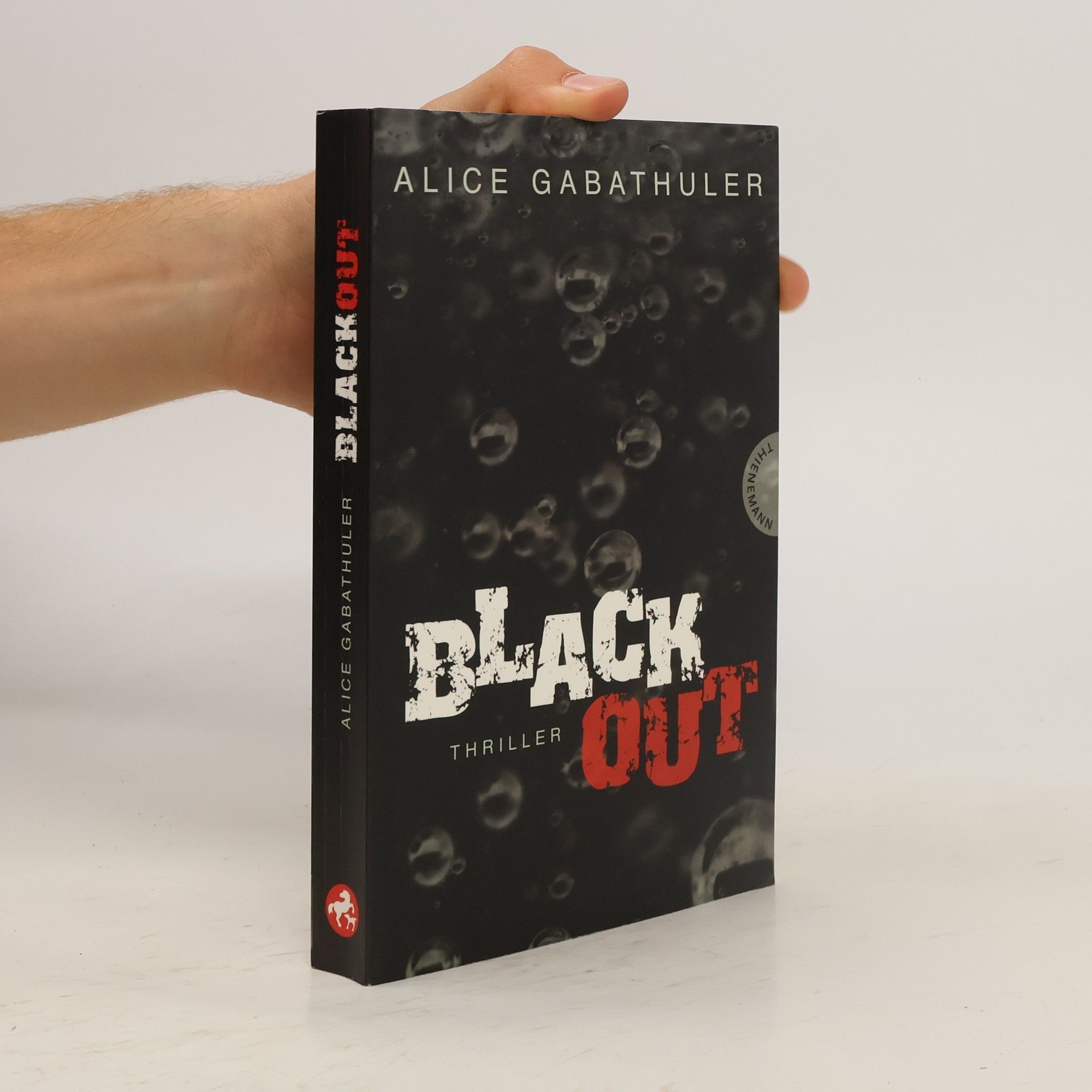 Alice Gabathuler Blackout
