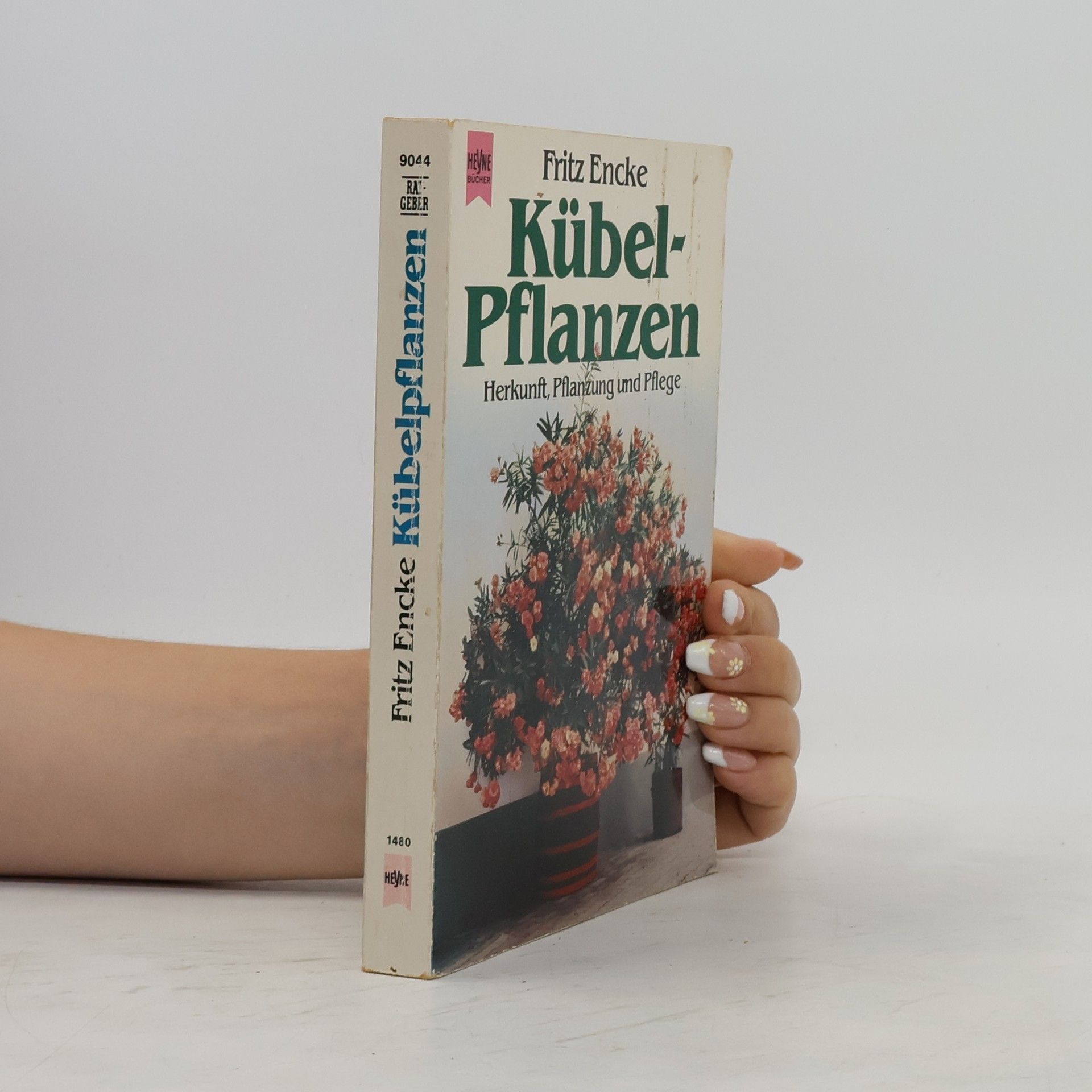 Fritz Encke Kübel-Pflanzen