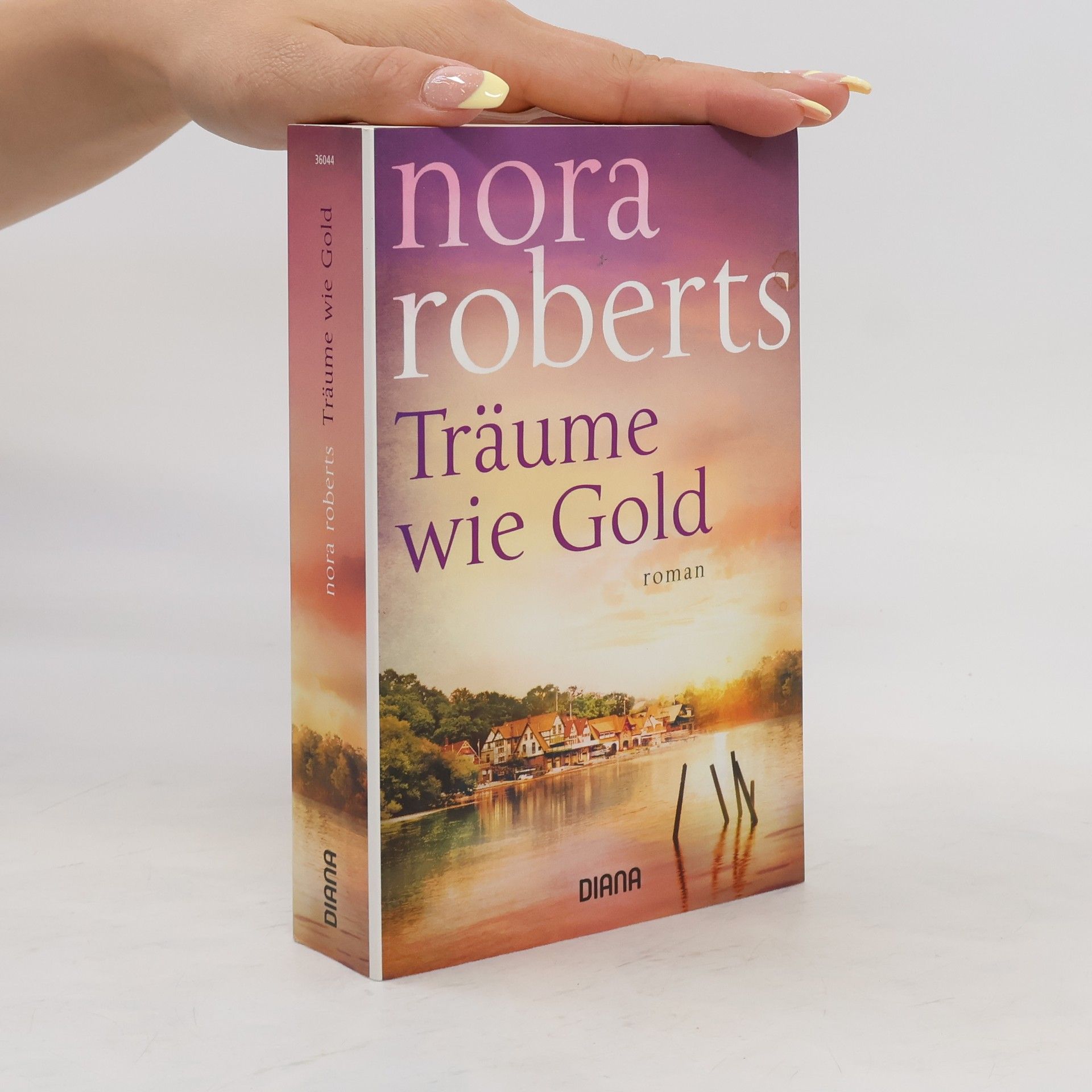 Nora Roberts Träume wie Gold