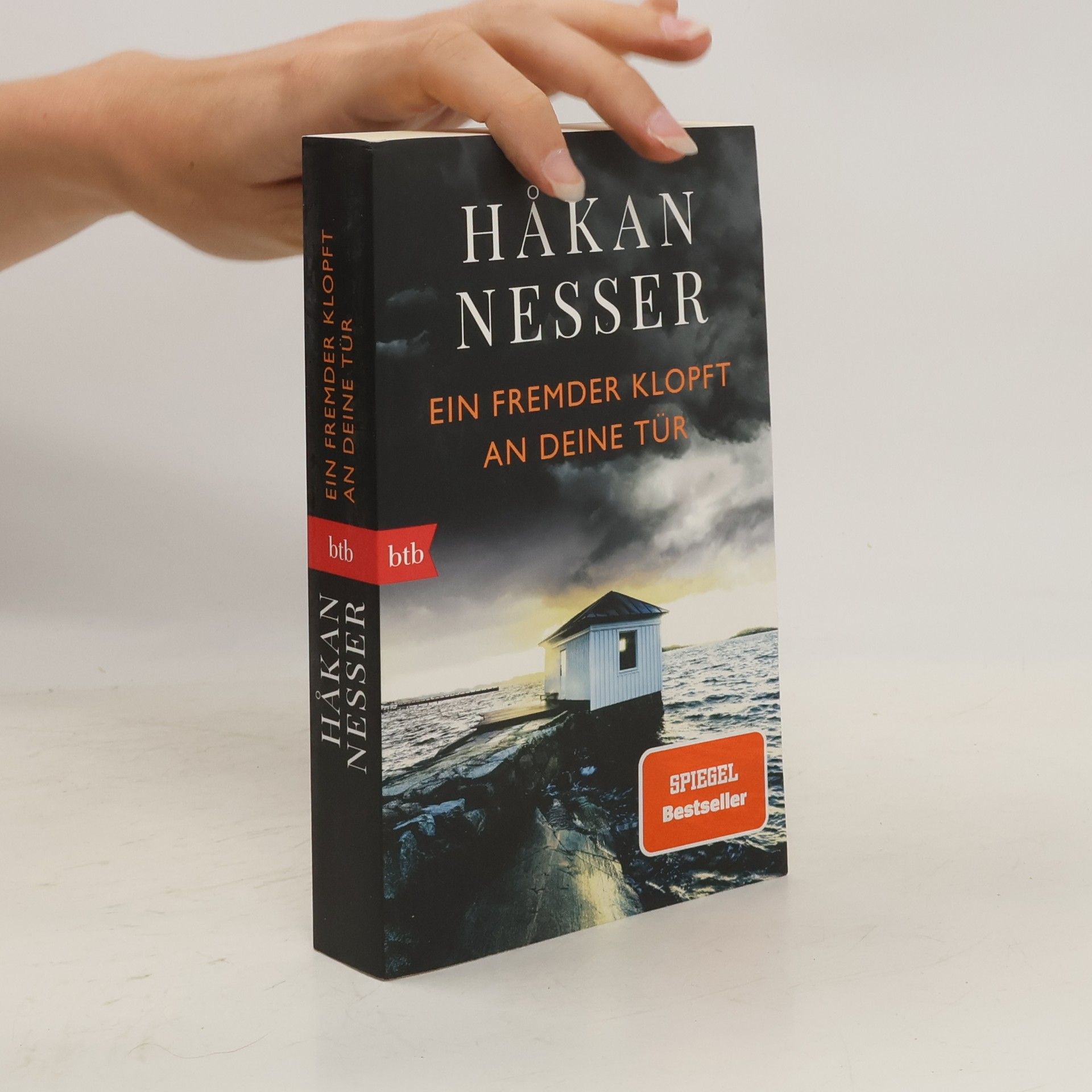 Håkan Nesser Ein Fremder klopft an deine Tür