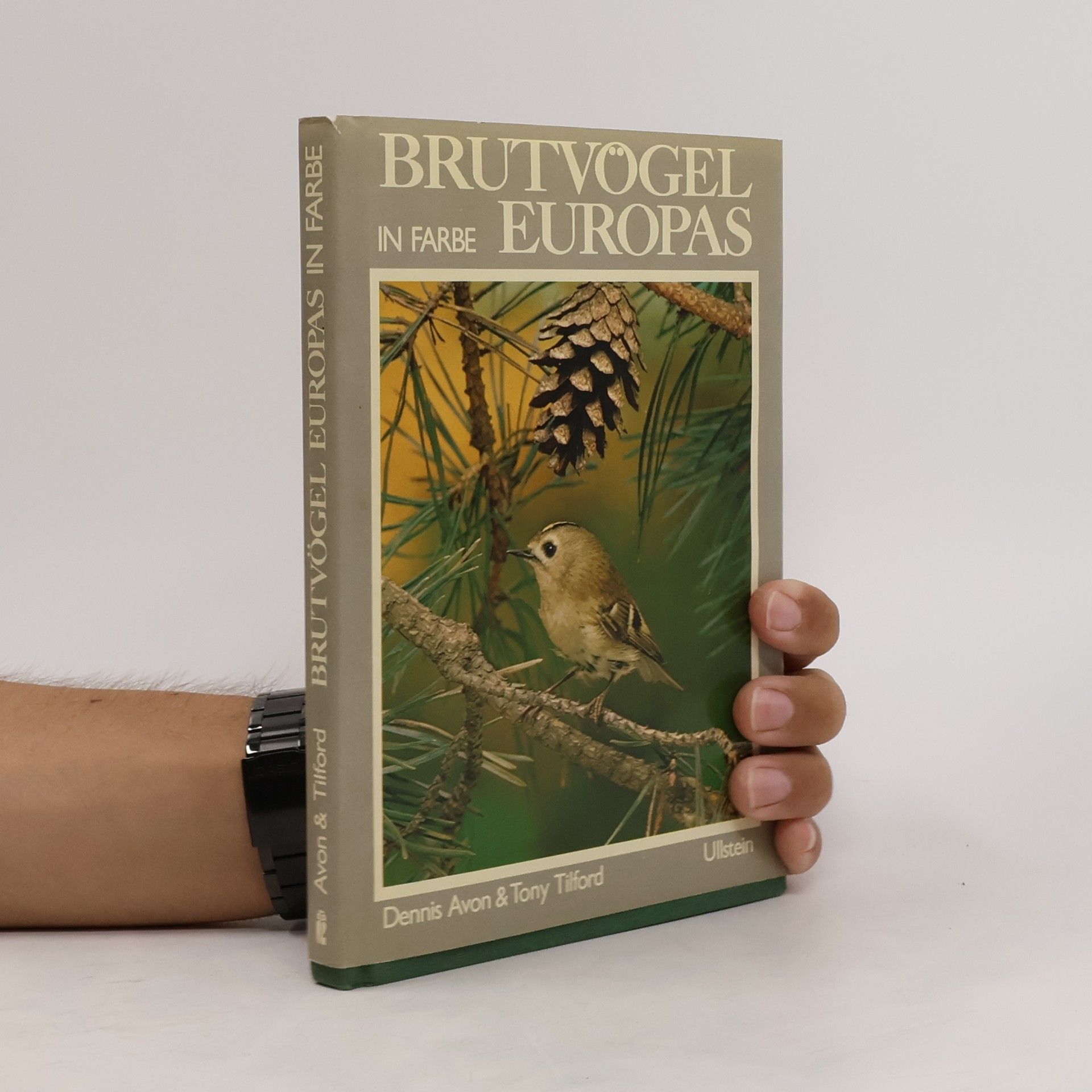 Dennis Avon Brutvögel Europas