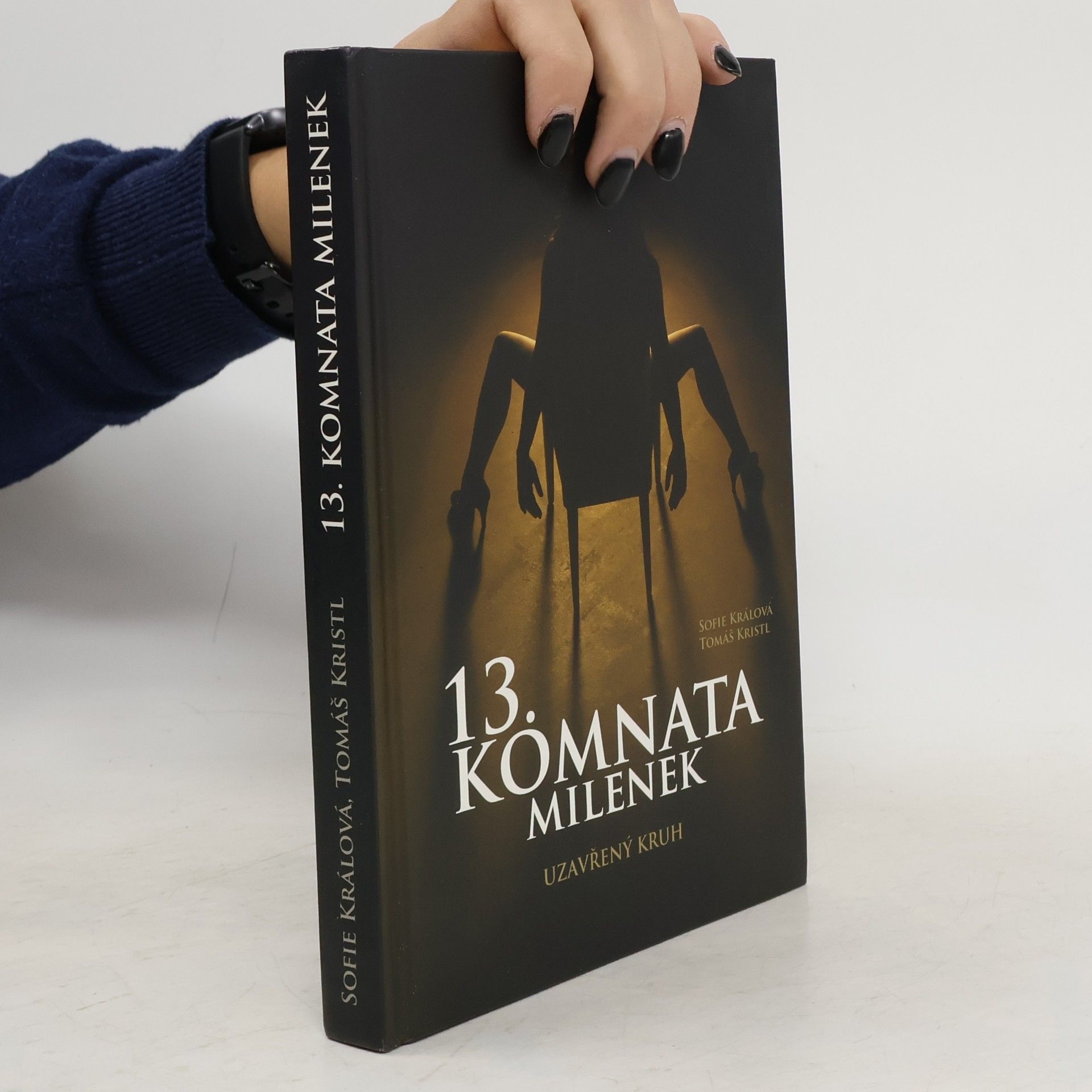 Tomáš Kristl 13. komnata milenek. Uzavřený kruh