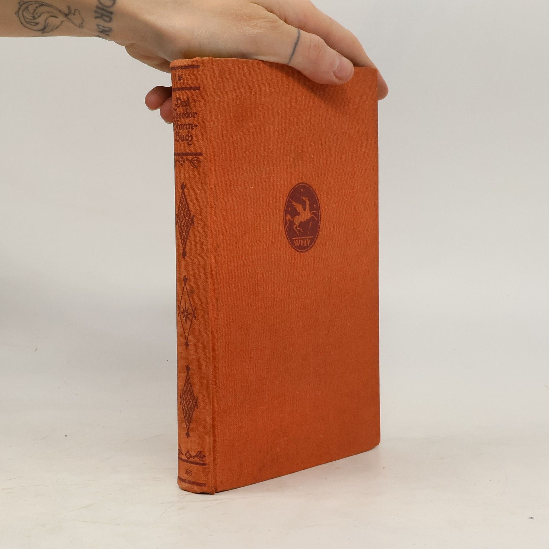 Theodor Storm Das Theodor Storm Buch