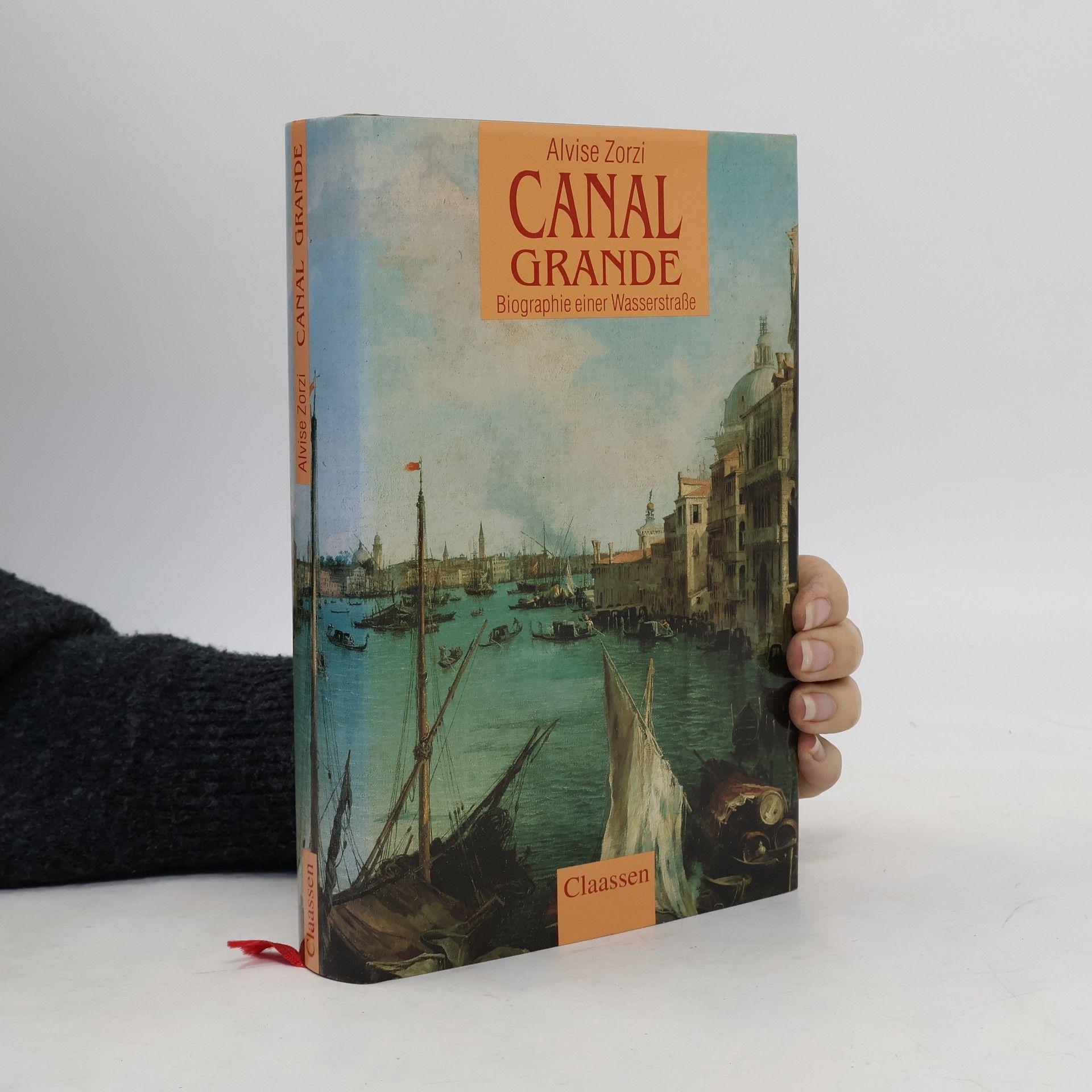 Alvise Zorzi Canal Grande