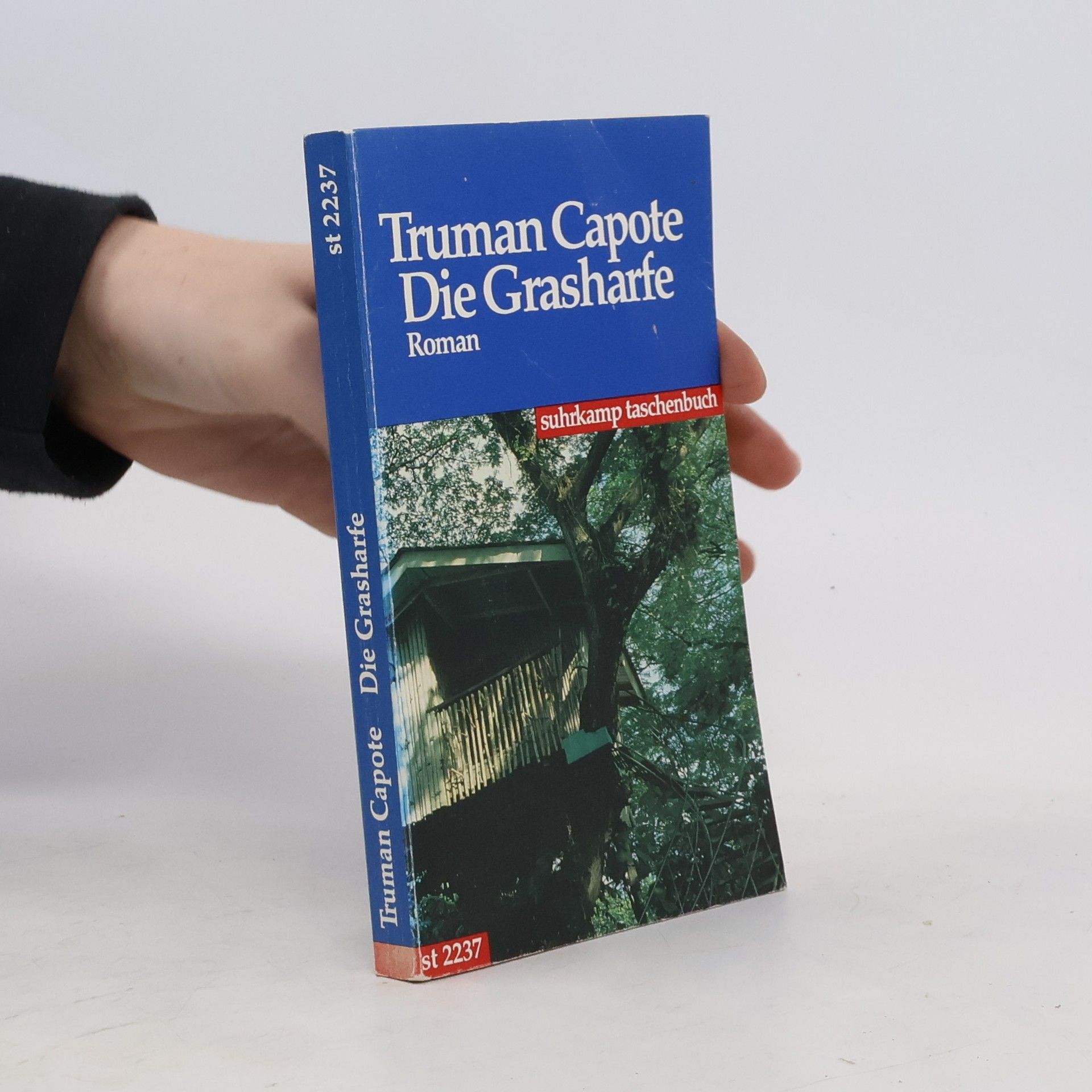 Truman Capote Die Grasharfe