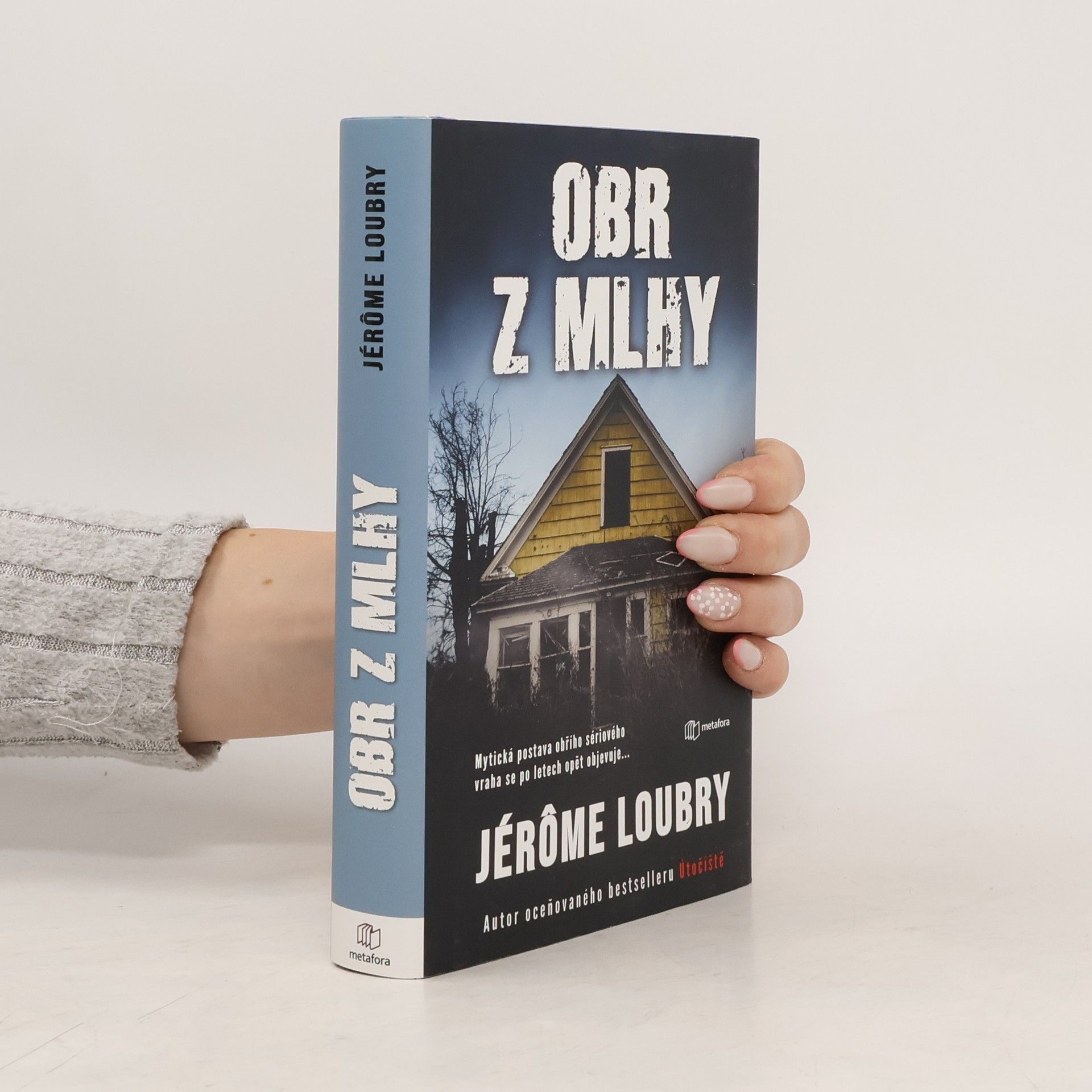 Jérôme Loubry Obr z mlhy