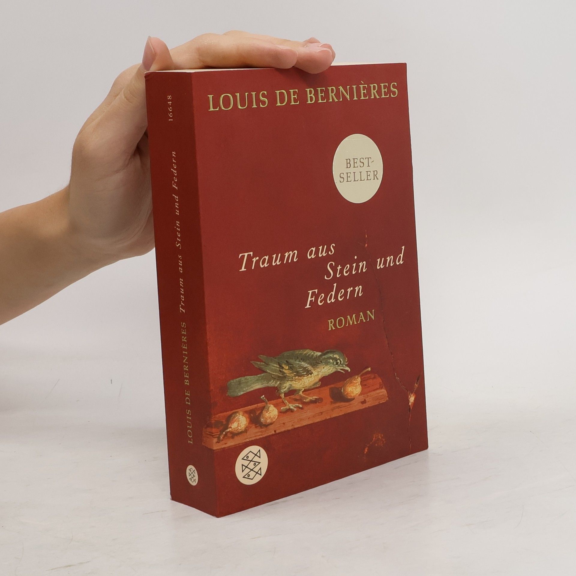 Traum aus Stein und Federn