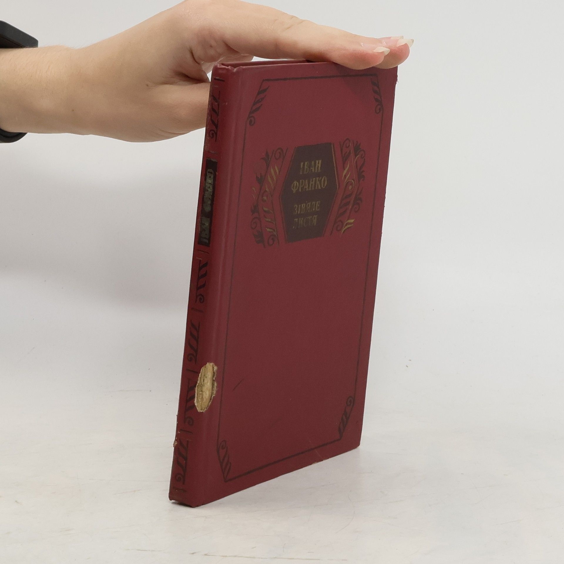 Ivan Âkovlevič Franko Увядшие листья