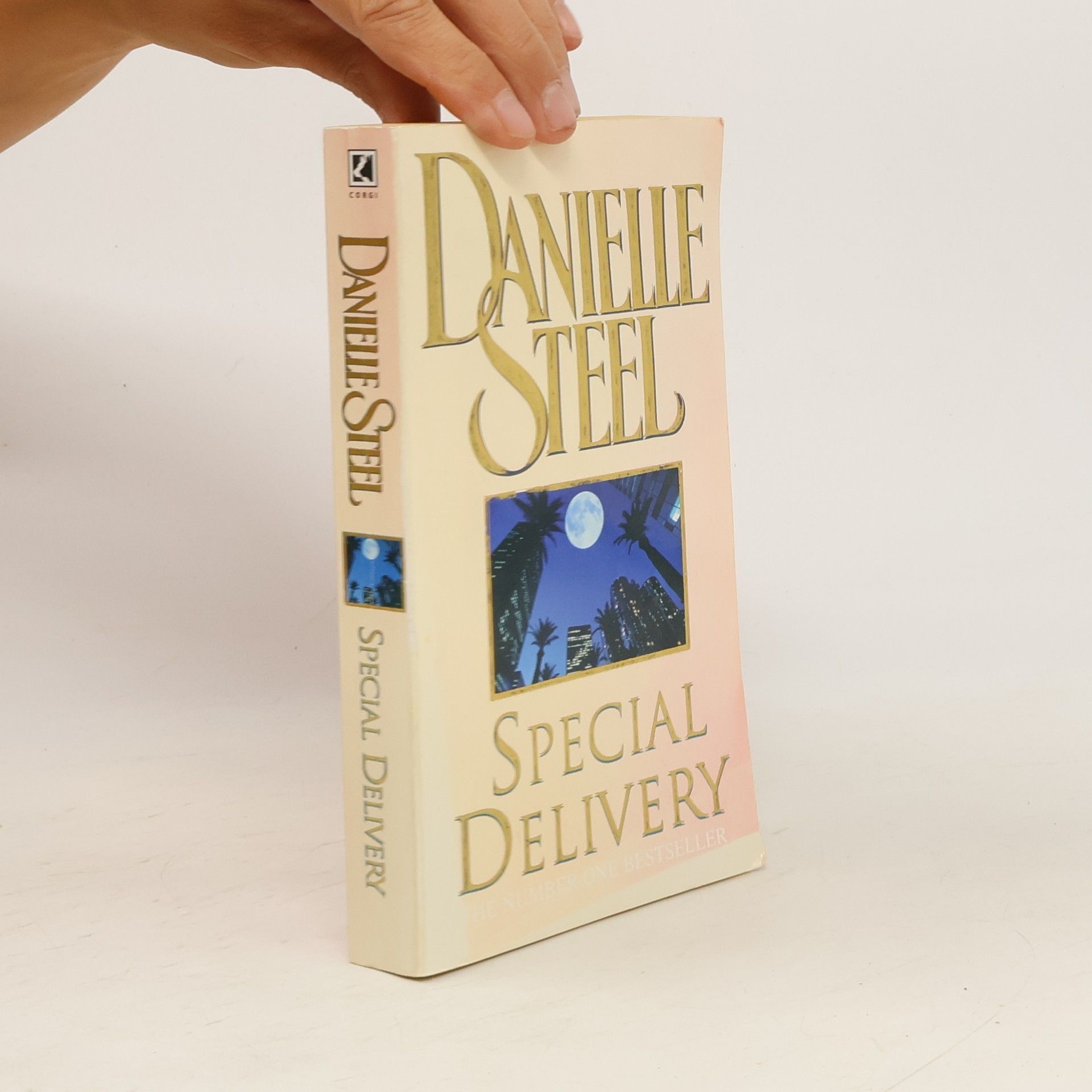 Danielle Steel Special Delivery