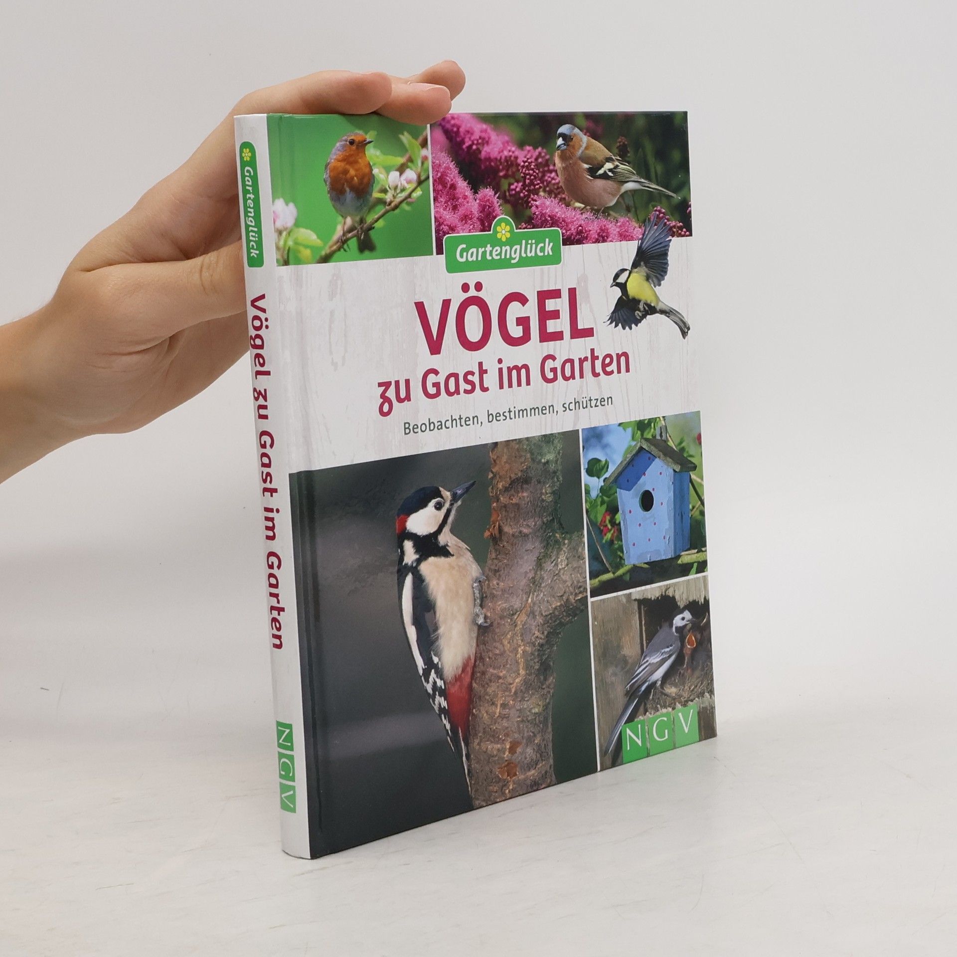 kolektiv Vögel zu Gast im Garten