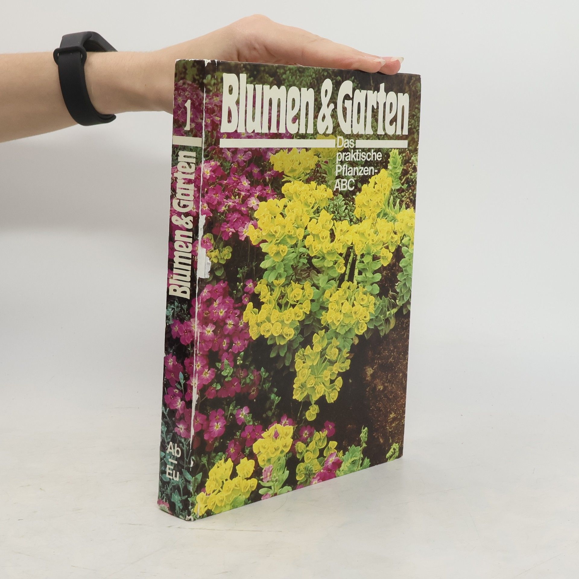 Autorenkollektiv Blumen & Garten 1. Das praktische Pflanzen-ABC