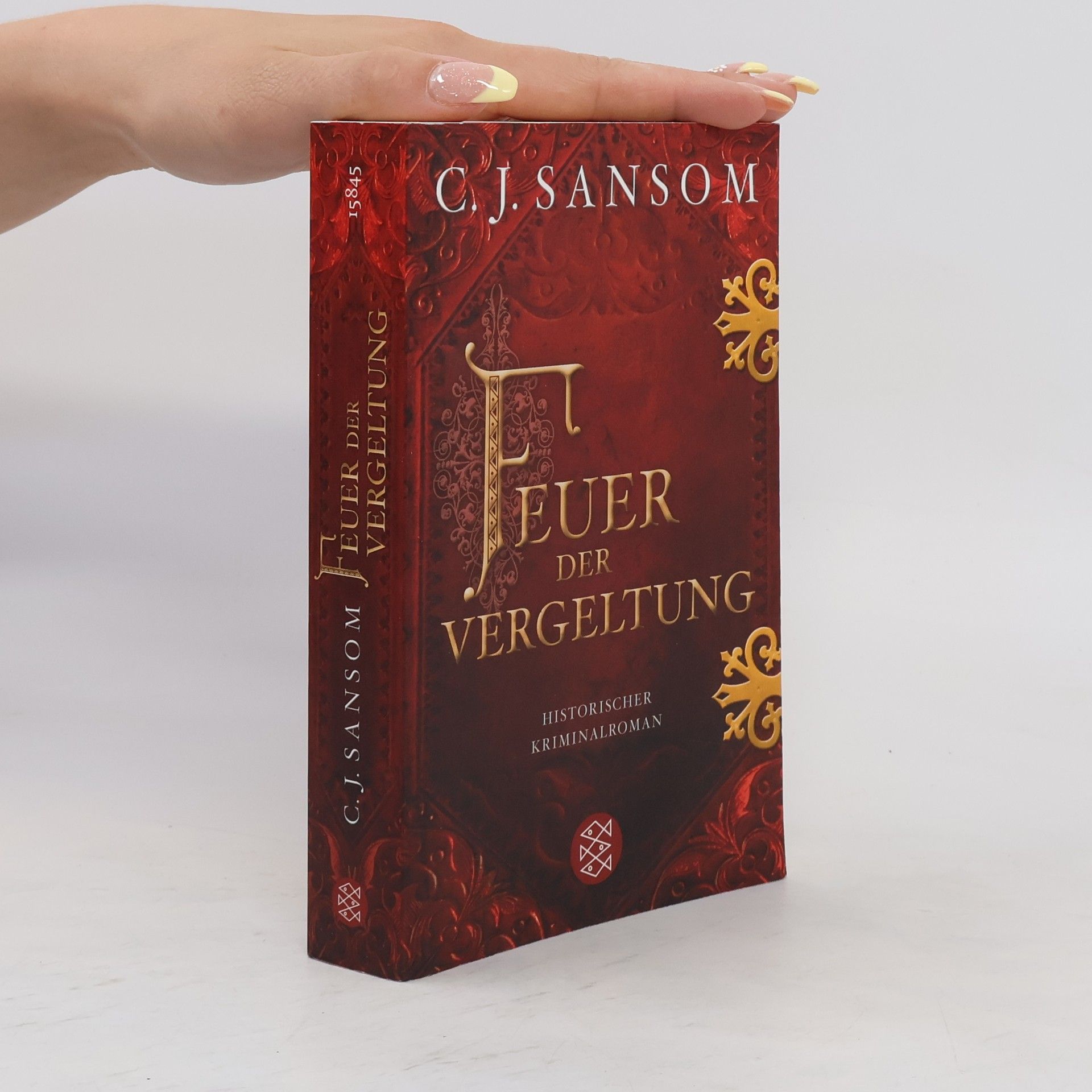 C. J. Sansom Feuer der Vergeltung