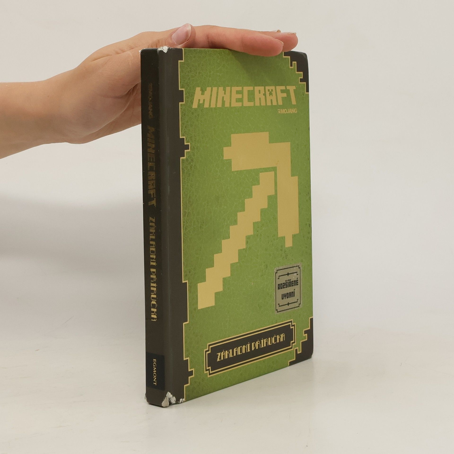 Matyáš Theodor Frydrych Minecraft