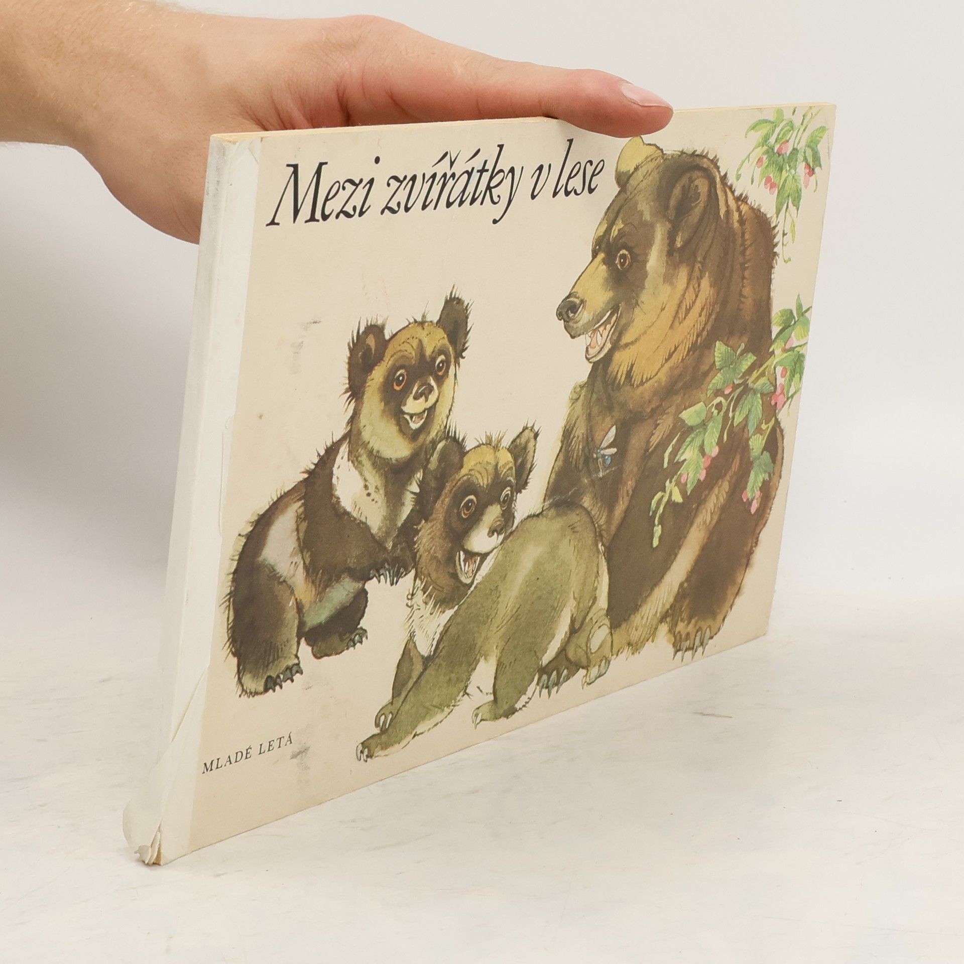 Vladimír Machaj Mezi zvířátky v lese