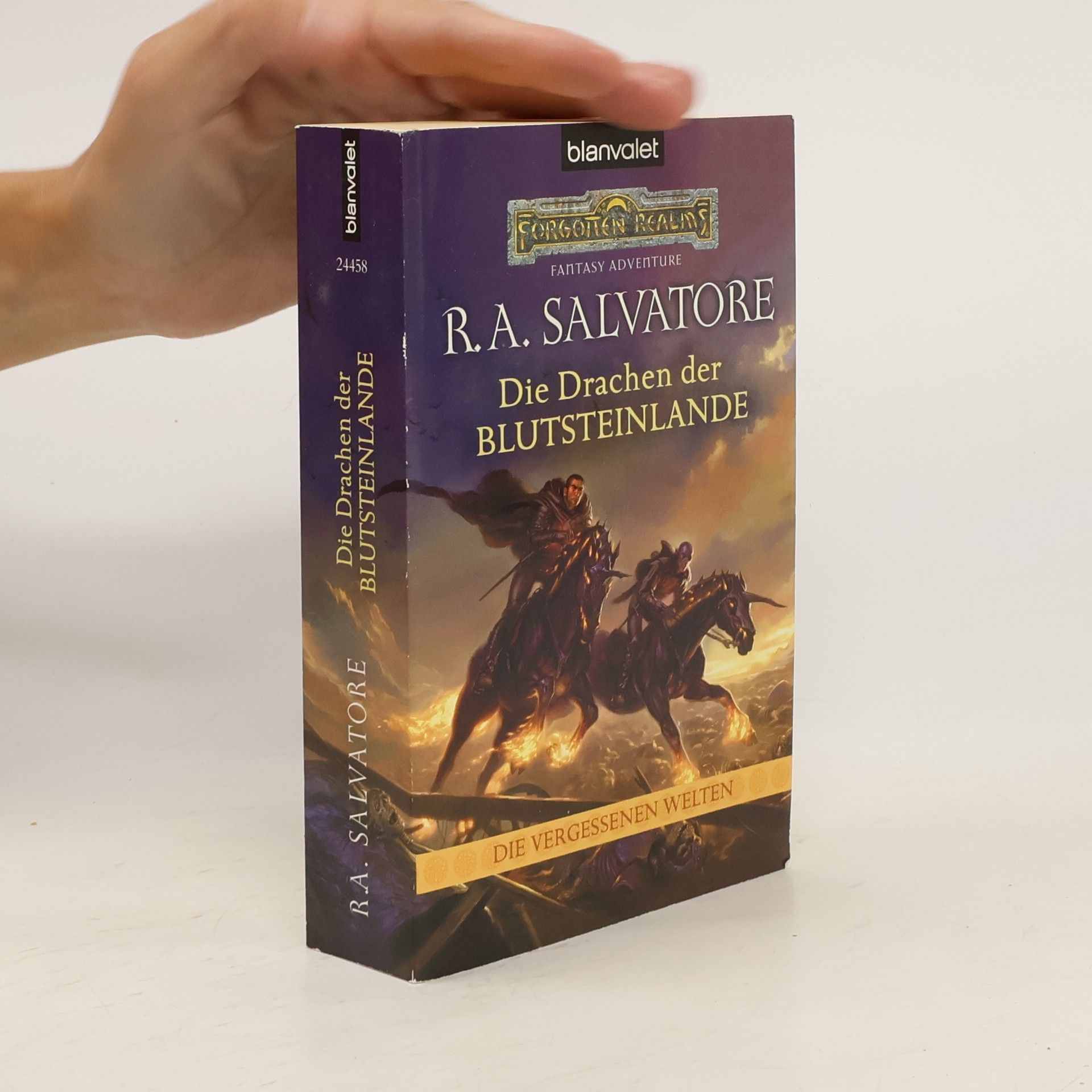 R. A. Salvatore Die Drachen der Blutsteinlande