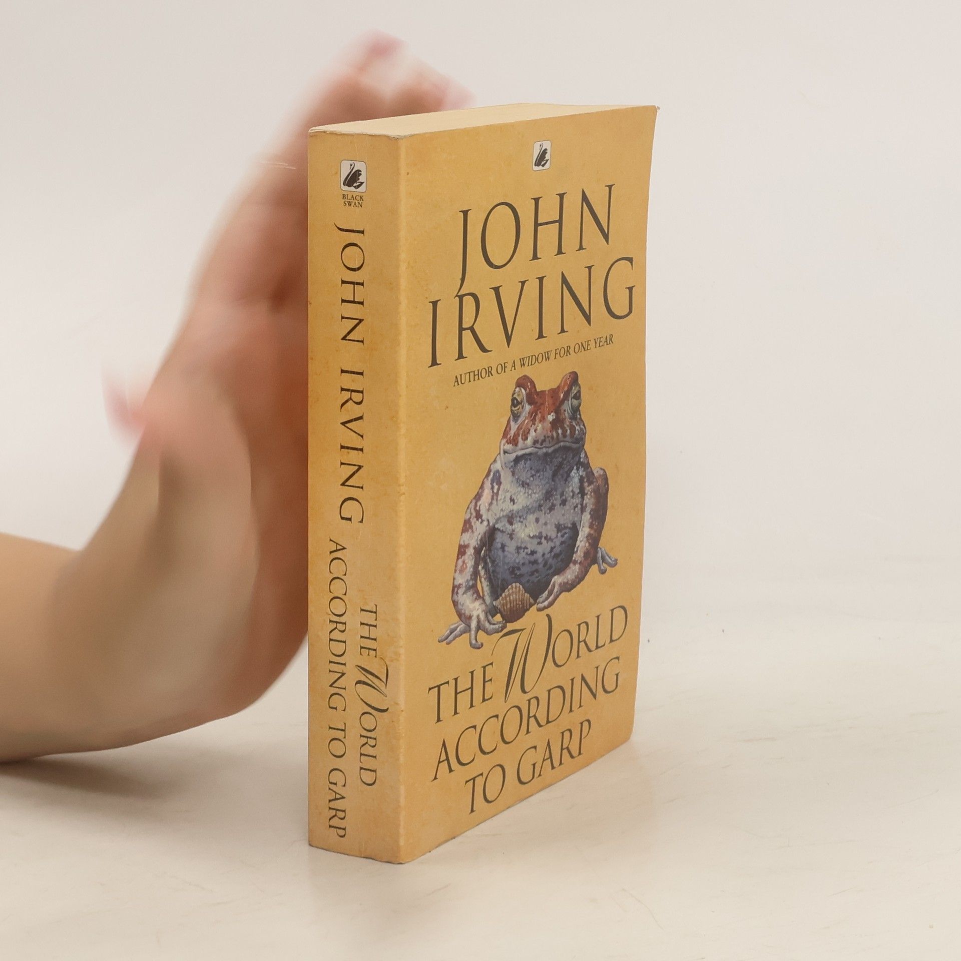John Irving The World According to Garp