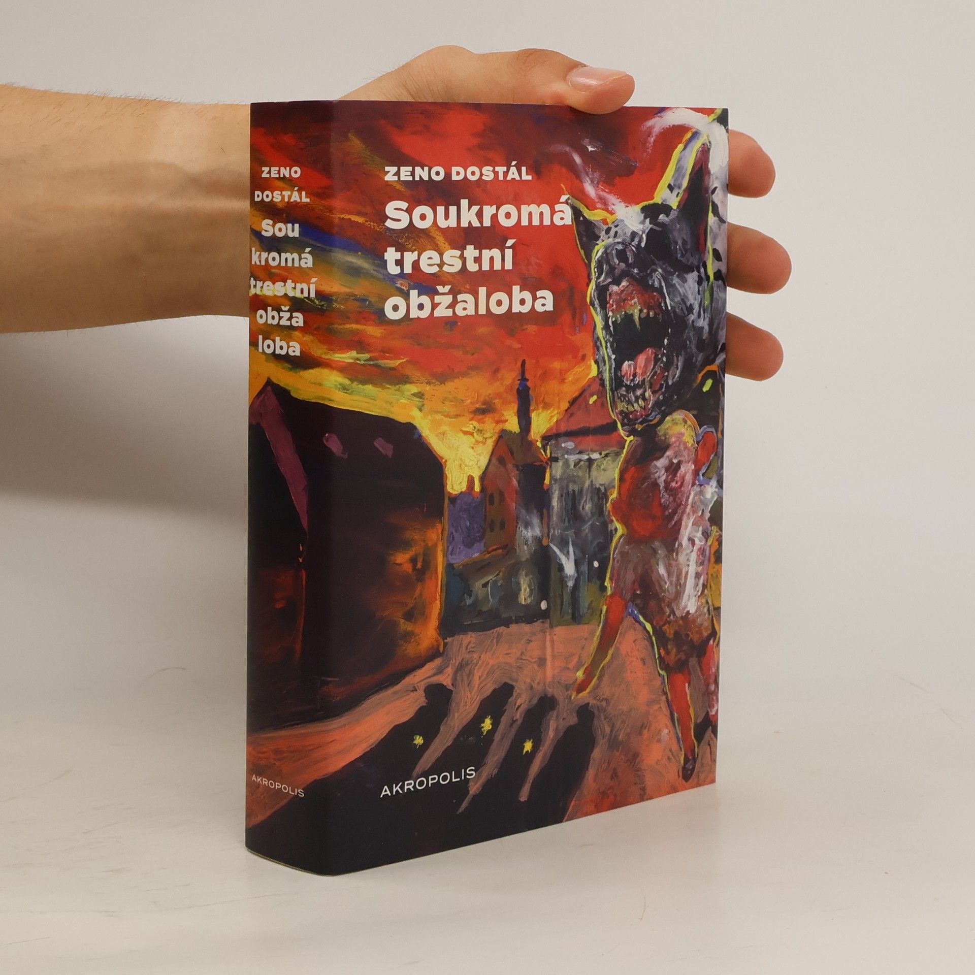 Boris Jirků Soukromá trestní obžaloba