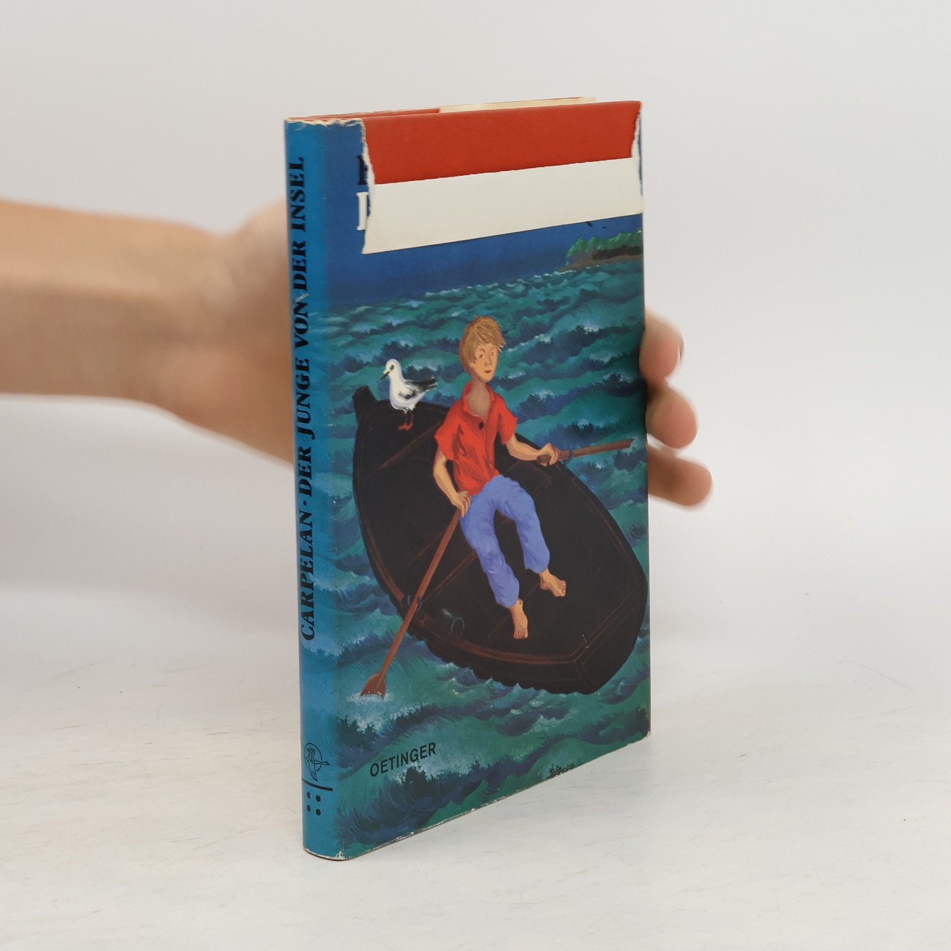 Bo Carpelan Der Junge von der Insel