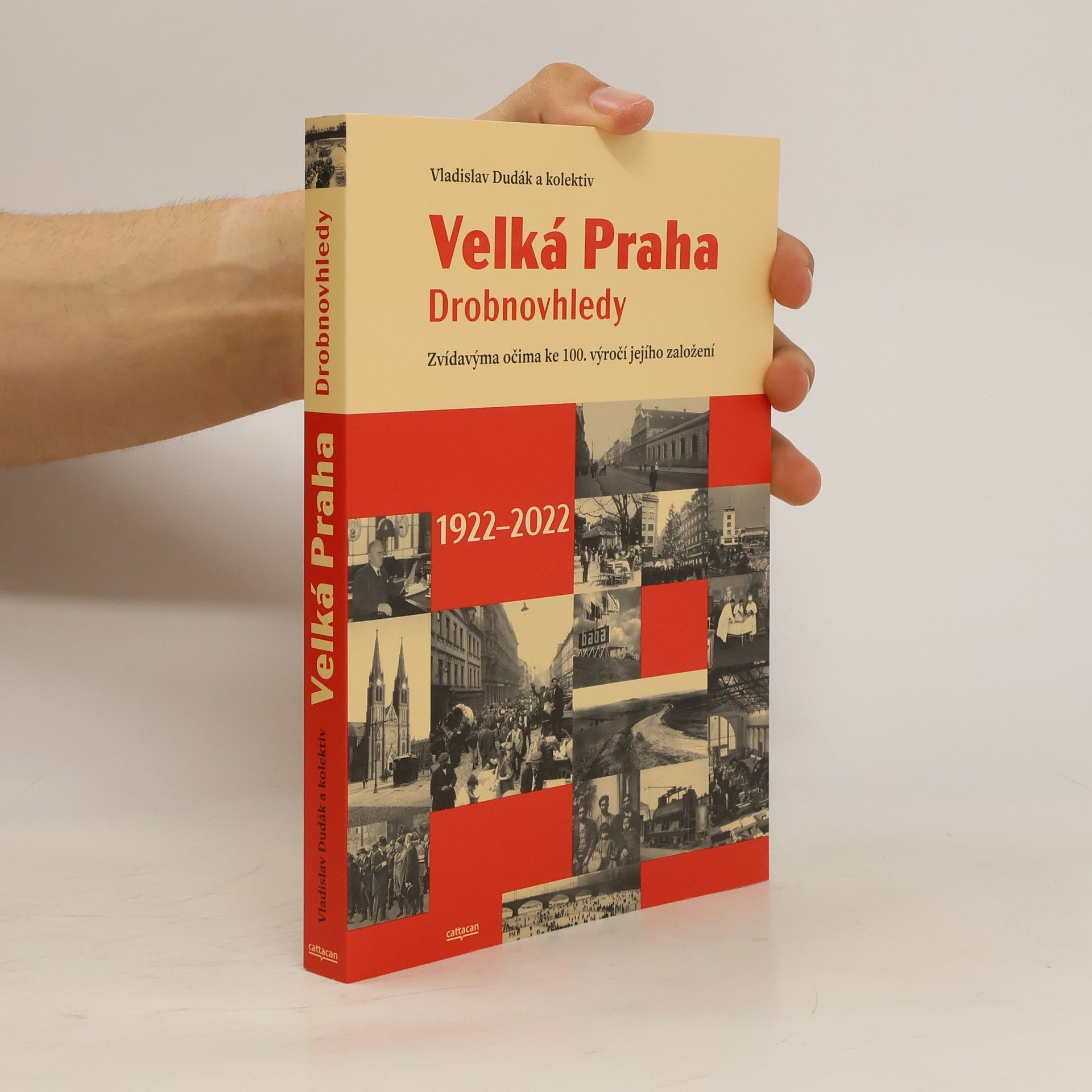 kolektiv Velká Praha: drobnovhledy