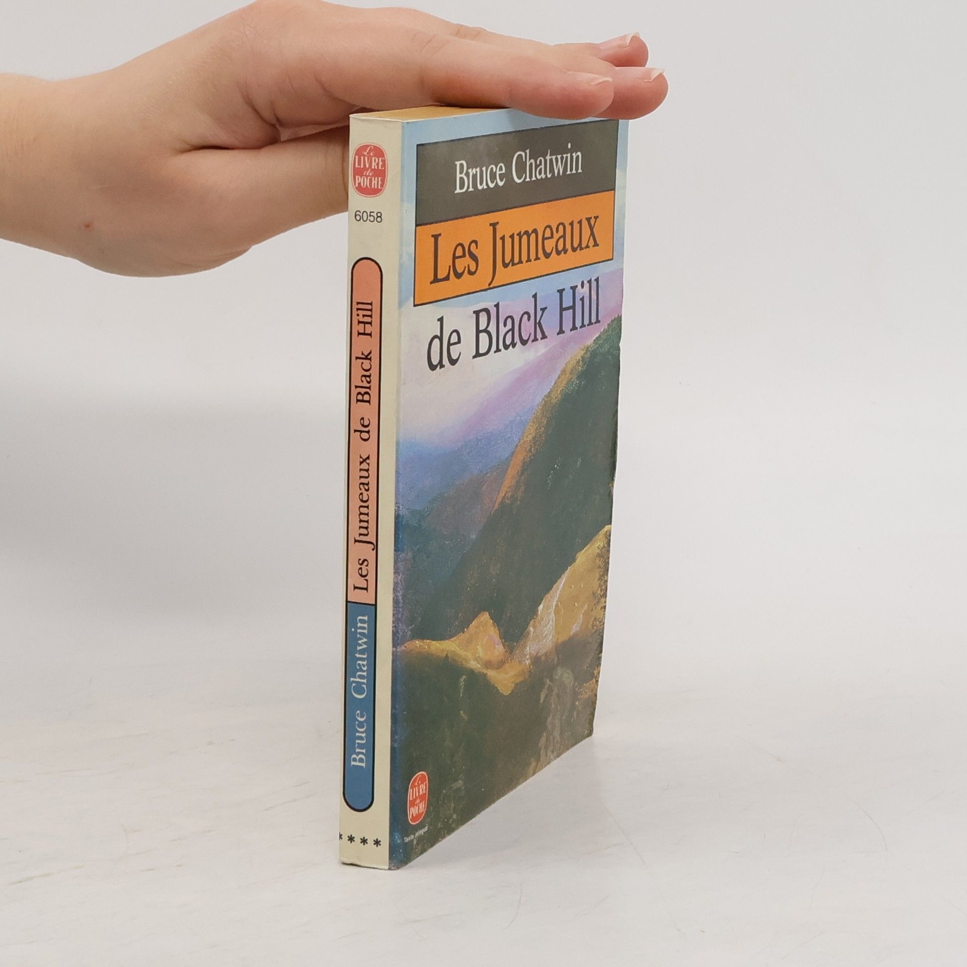 Bruce Chatwin Les jumeaux de Black Hill