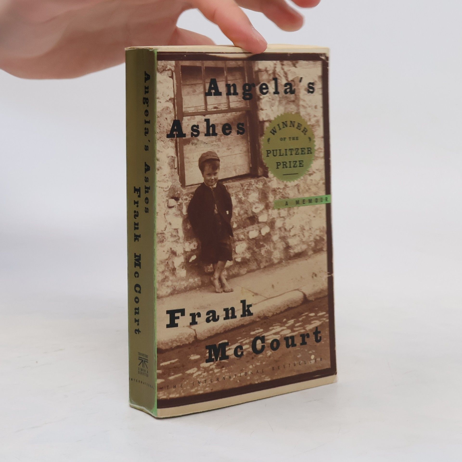 Frank McCourt Angela's Ashes