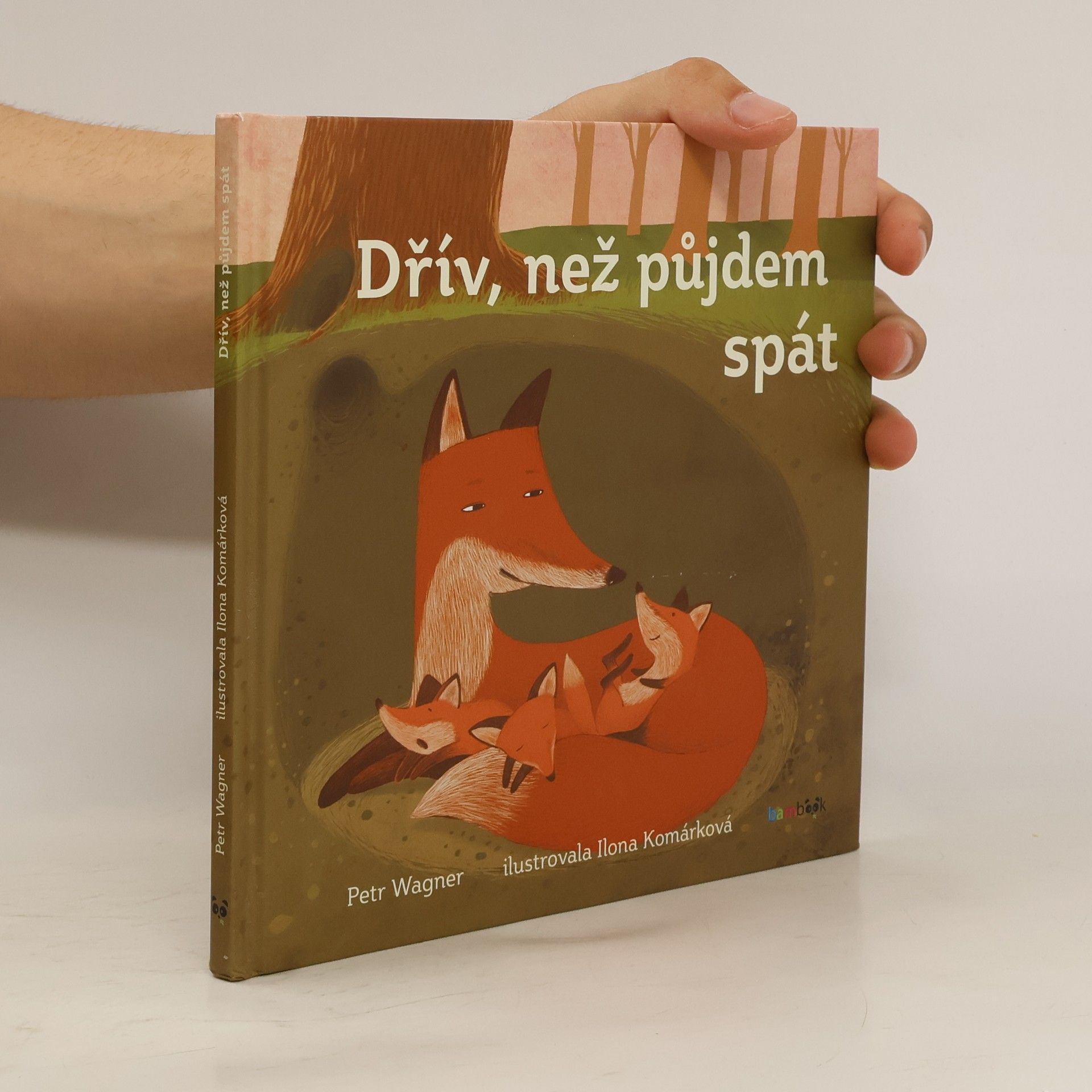 Petr Wagner Dřív než půjdem spát