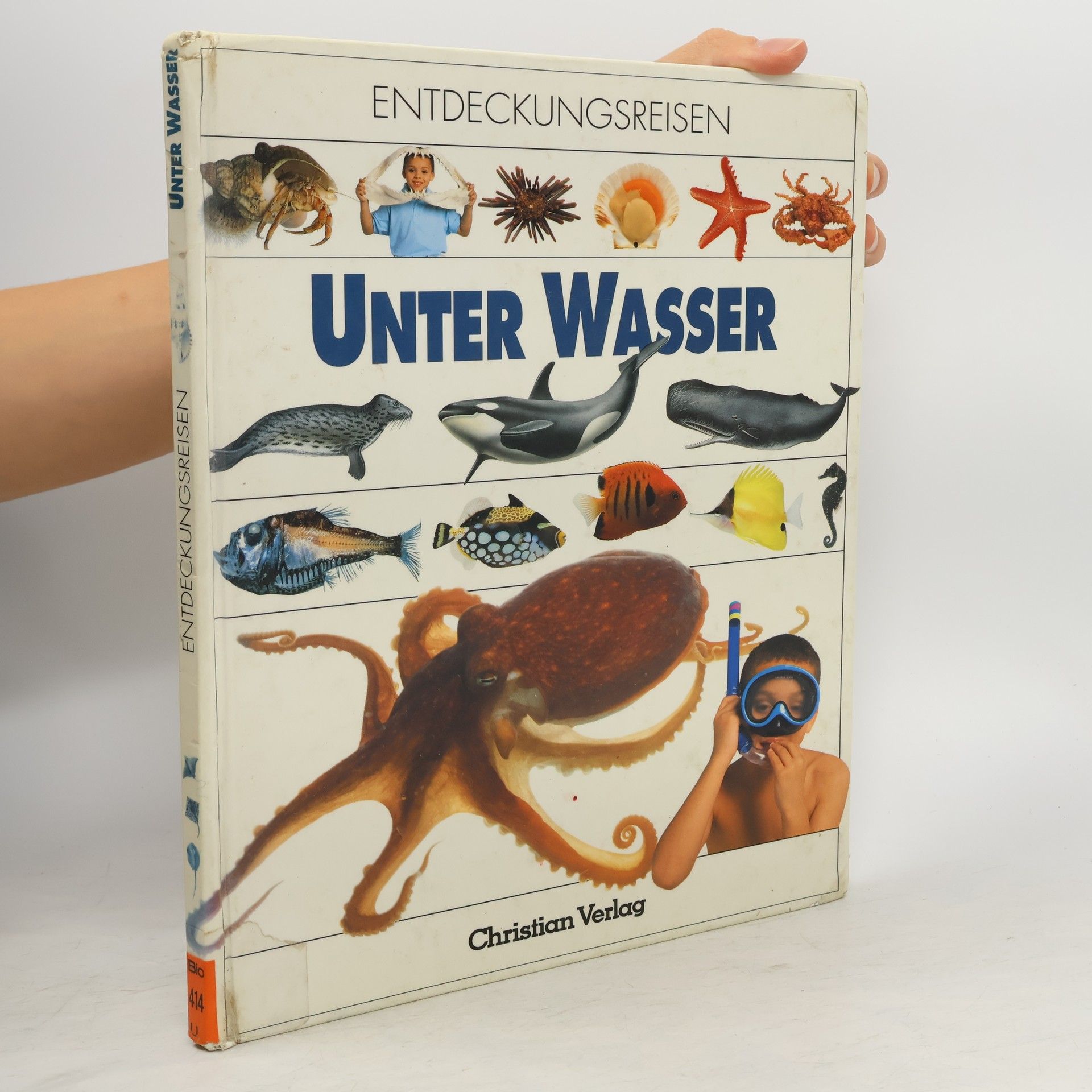 Sarah Miller Unter Wasser