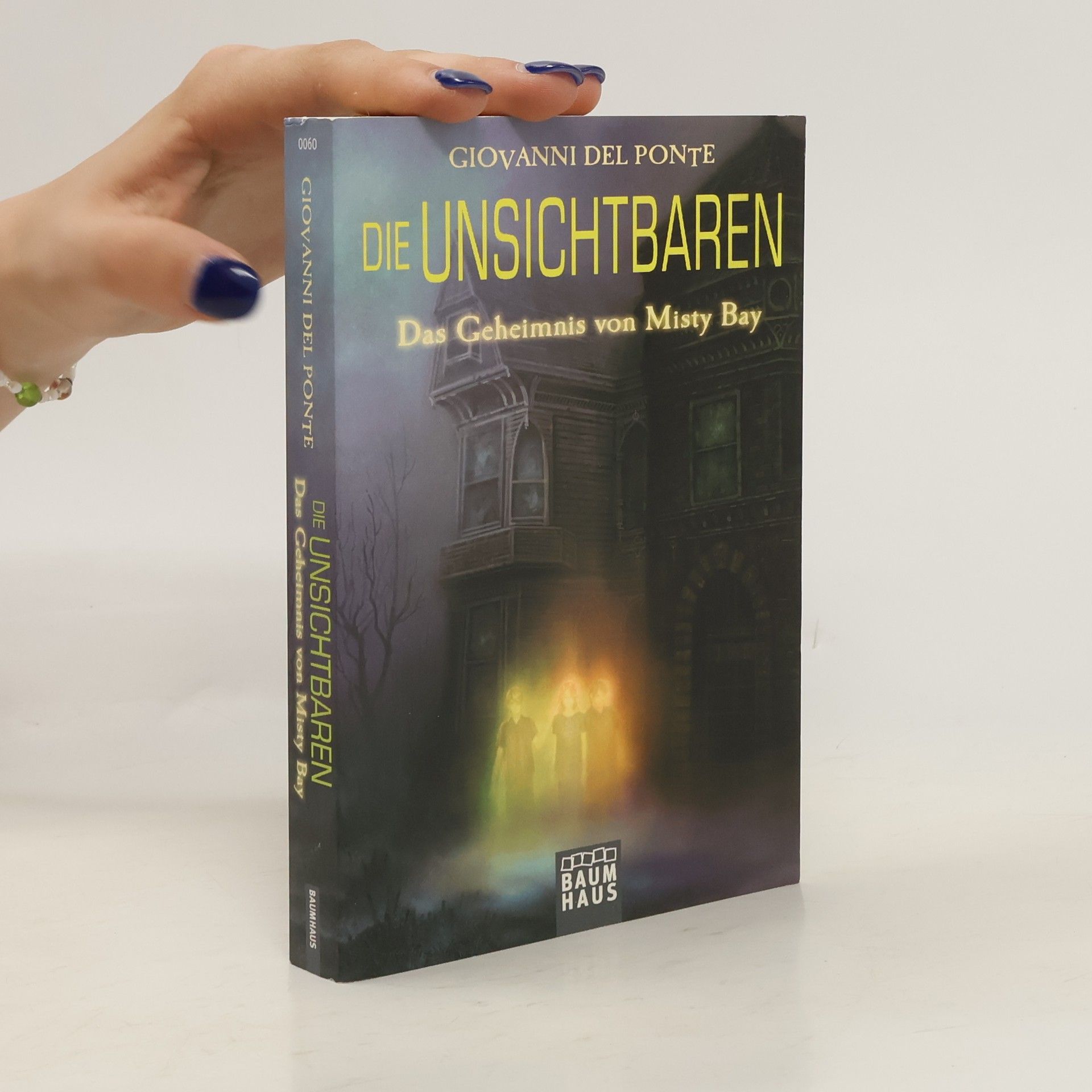 Giovanni Del Ponte Die Unsichtbaren - Das Geheimnis von Misty Bay. Band 1