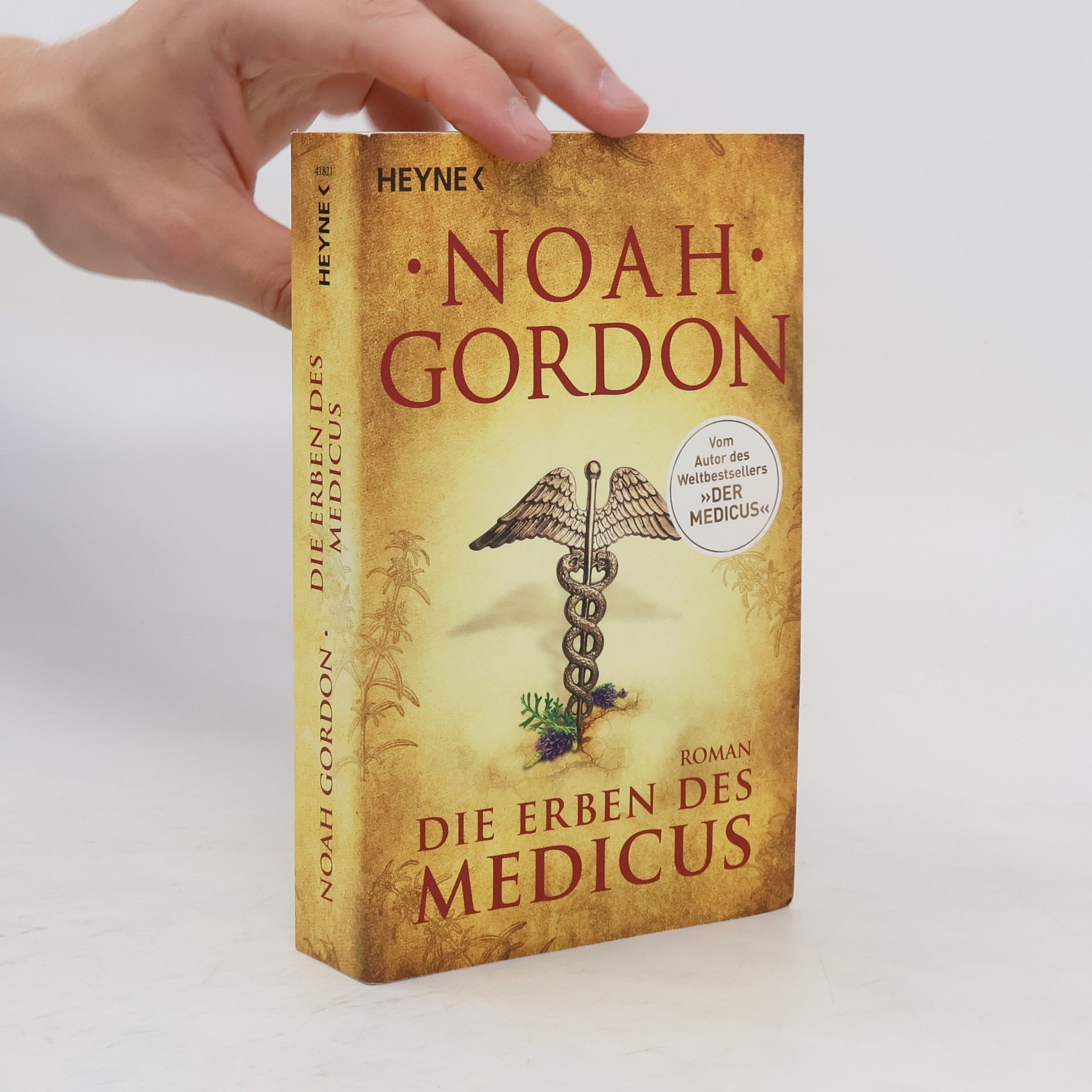 Noah Gordon Die Erben des Medicus
